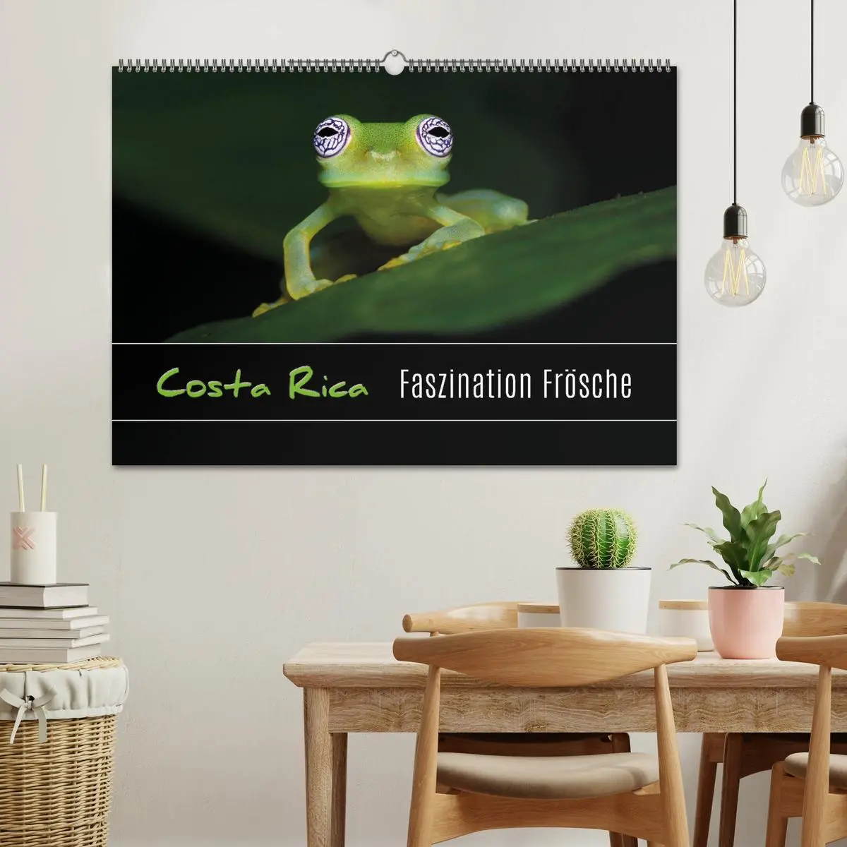 Bild: 9783457964804 | Costa Rica - Faszination Frösche (Wandkalender 2026 DIN A2 quer),...