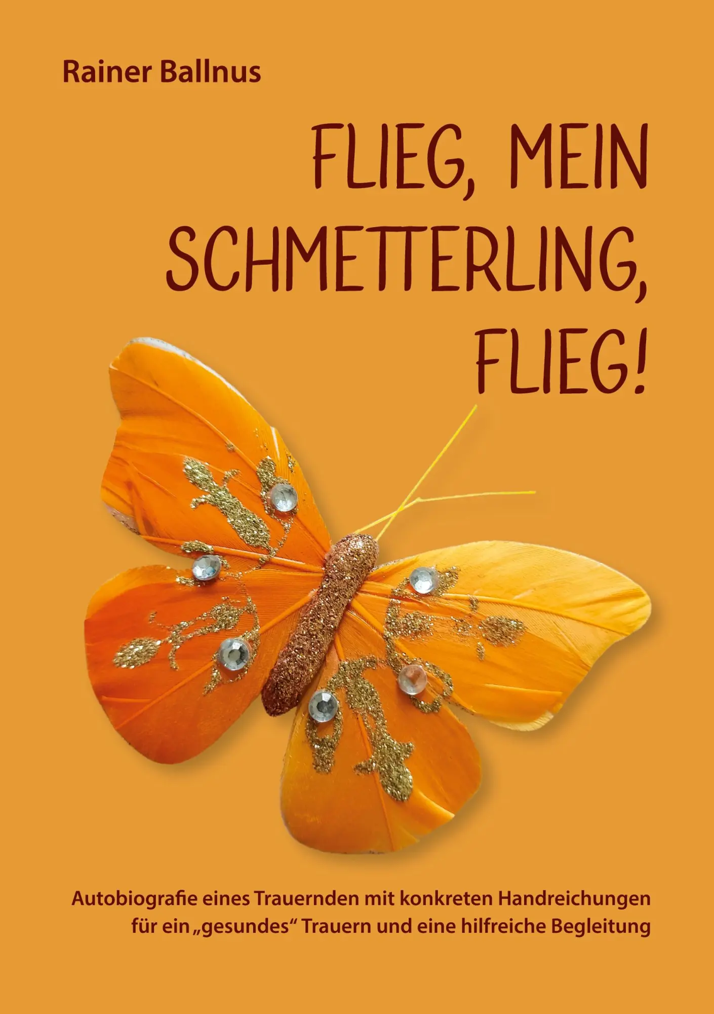 Cover: 9783751994804 | Flieg, mein Schmetterling, flieg! | Rainer Ballnus | Taschenbuch