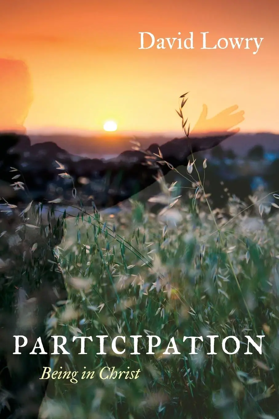 Cover: 9781666734904 | Participation | David Lowry | Taschenbuch | Kartoniert / Broschiert