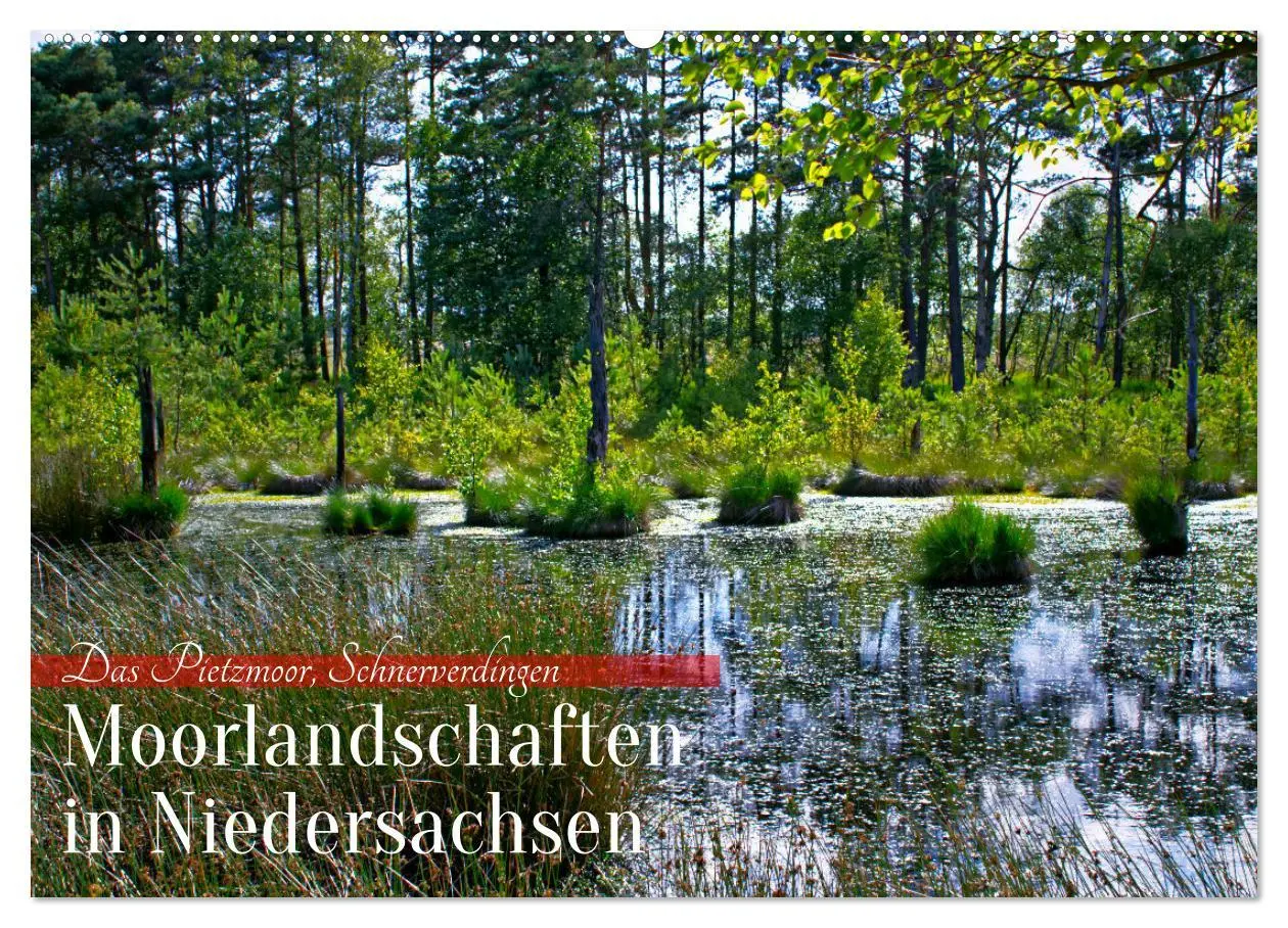 Cover: 9783457574904 | Niedersachsens Moorlandschaften - Das Pietzmoor, Schneverdingen...
