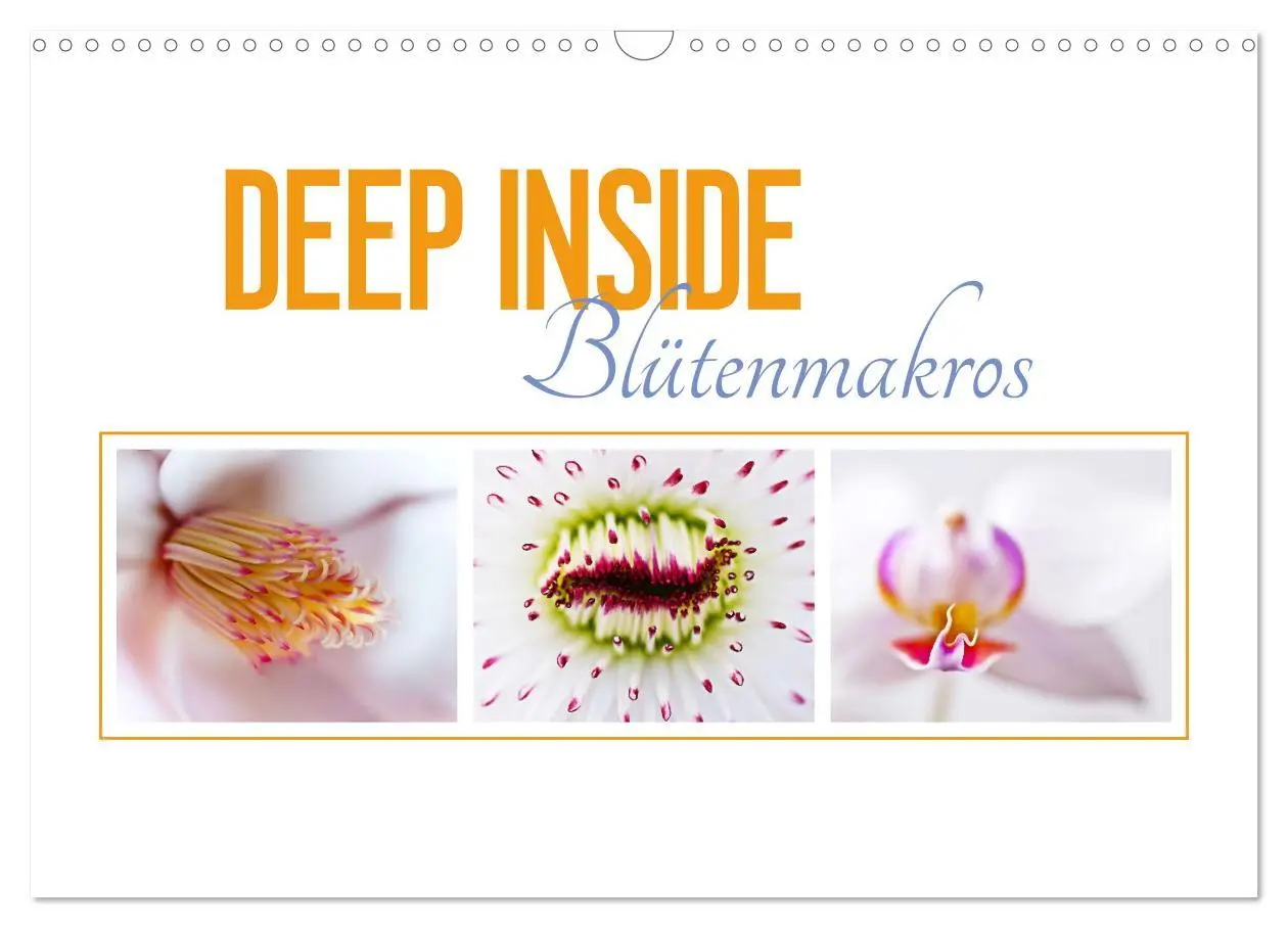 Cover: 9783457644904 | DEEP INSIDE - Blütenmakros (Wandkalender 2026 DIN A3 quer),...
