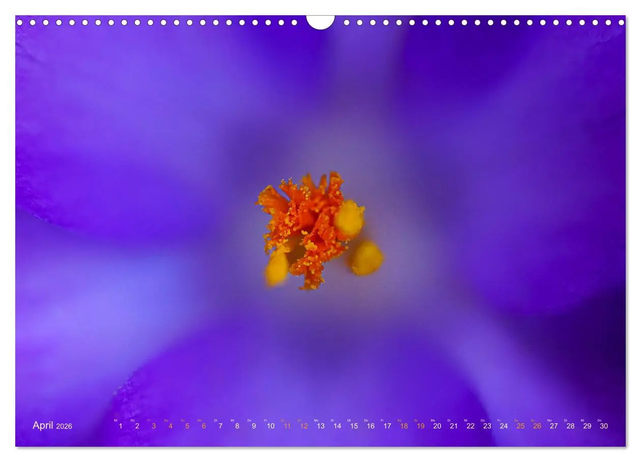 Bild: 9783457644904 | DEEP INSIDE - Blütenmakros (Wandkalender 2026 DIN A3 quer),...