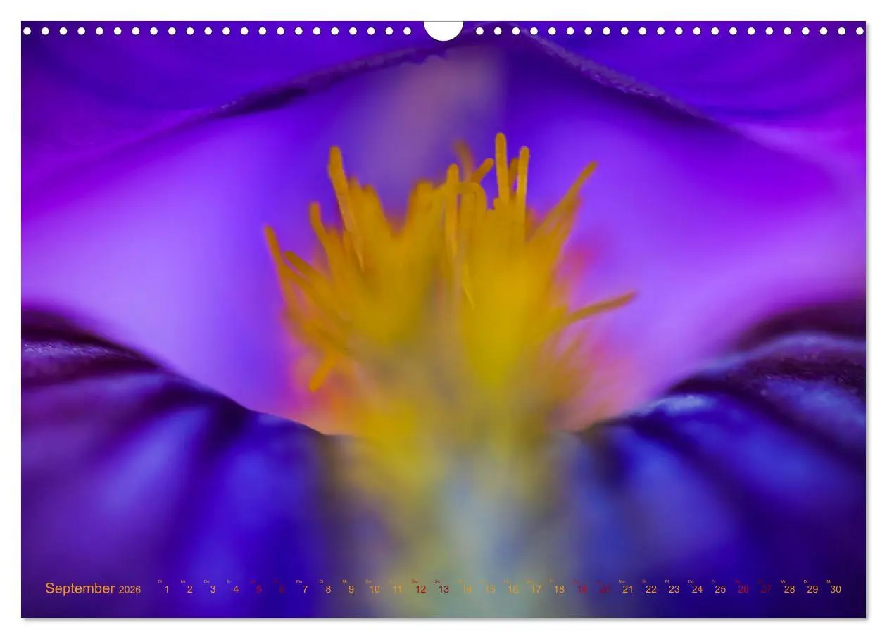 Bild: 9783457644904 | DEEP INSIDE - Blütenmakros (Wandkalender 2026 DIN A3 quer),...