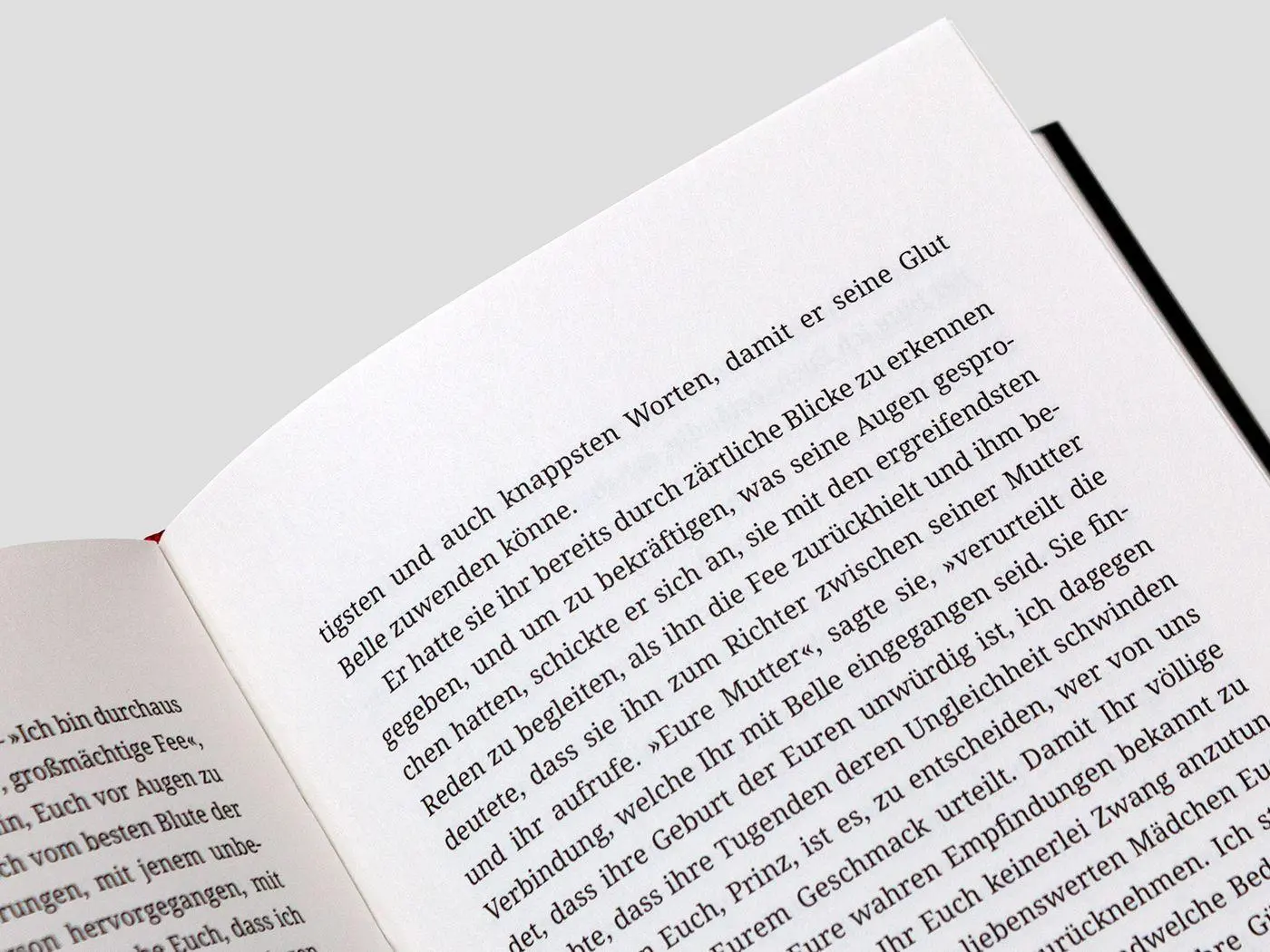 Bild: 9783847704904 | Die Schöne und das Tier | und andere Feenmärchen | Klaus Hammer | Buch
