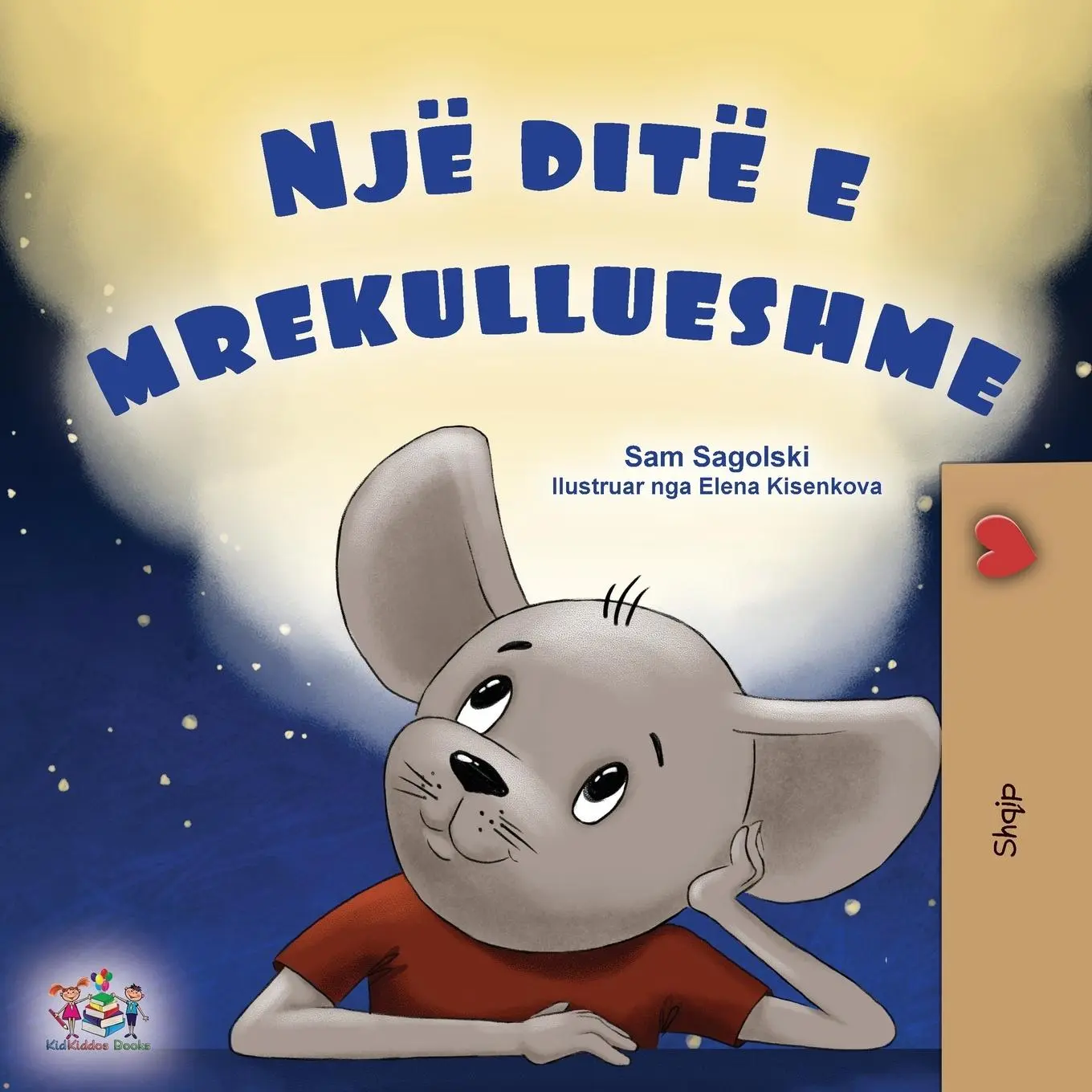 Cover: 9781525975004 | A Wonderful Day (Albanian Book for Kids) | Sam Sagolski (u. a.) | Buch