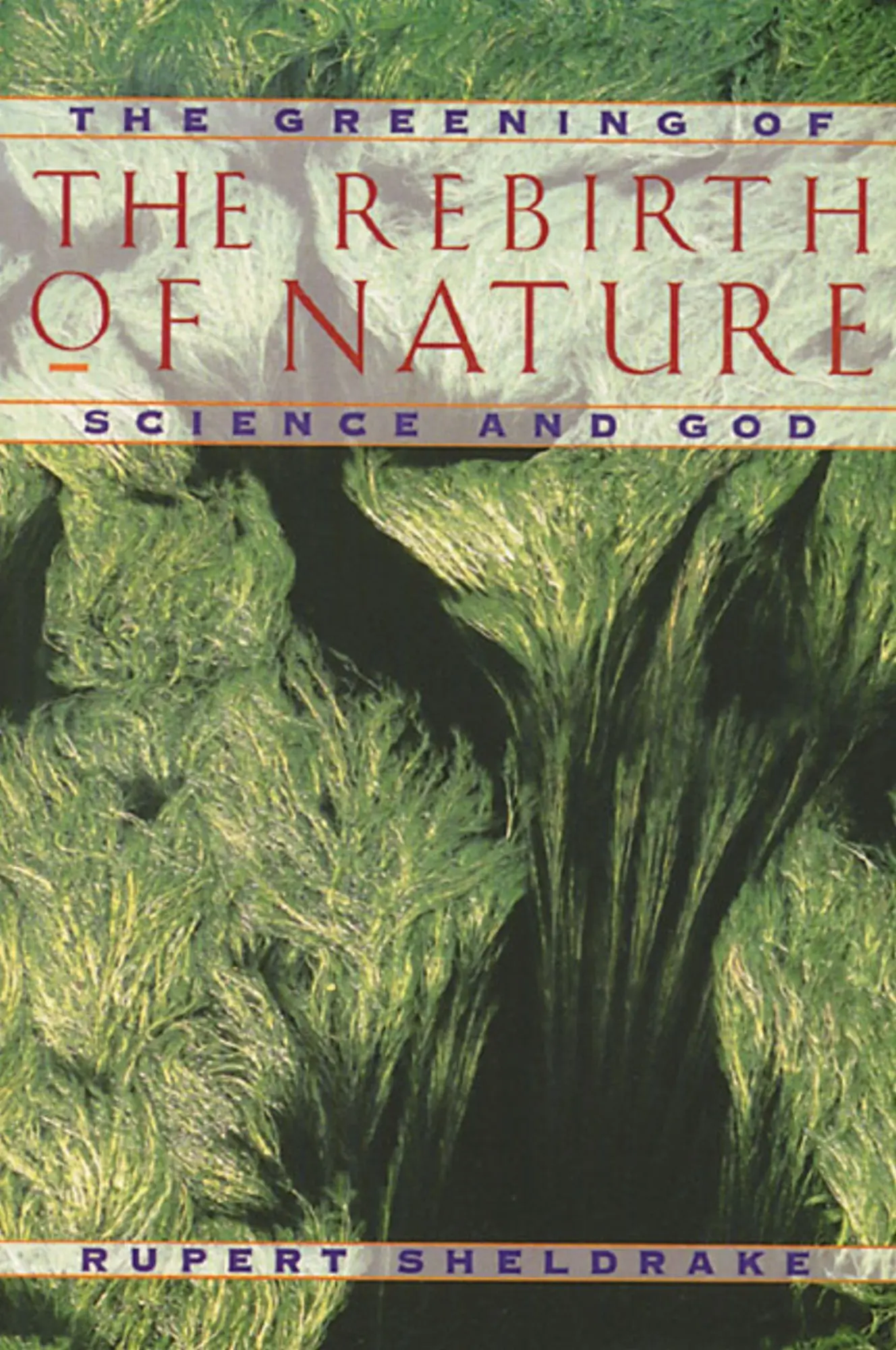 Cover: 9780892815104 | Greening of the Rebirth of Nature Science and God | Rupert Sheldrake