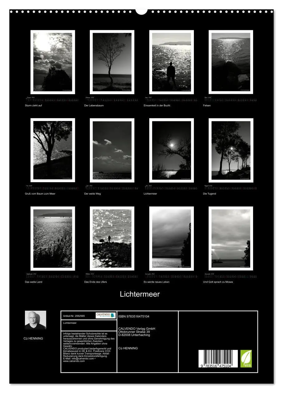 Bild: 9783516475104 | Lichtermeer (hochwertiger Premium Wandkalender 2026 DIN A2 hoch),...