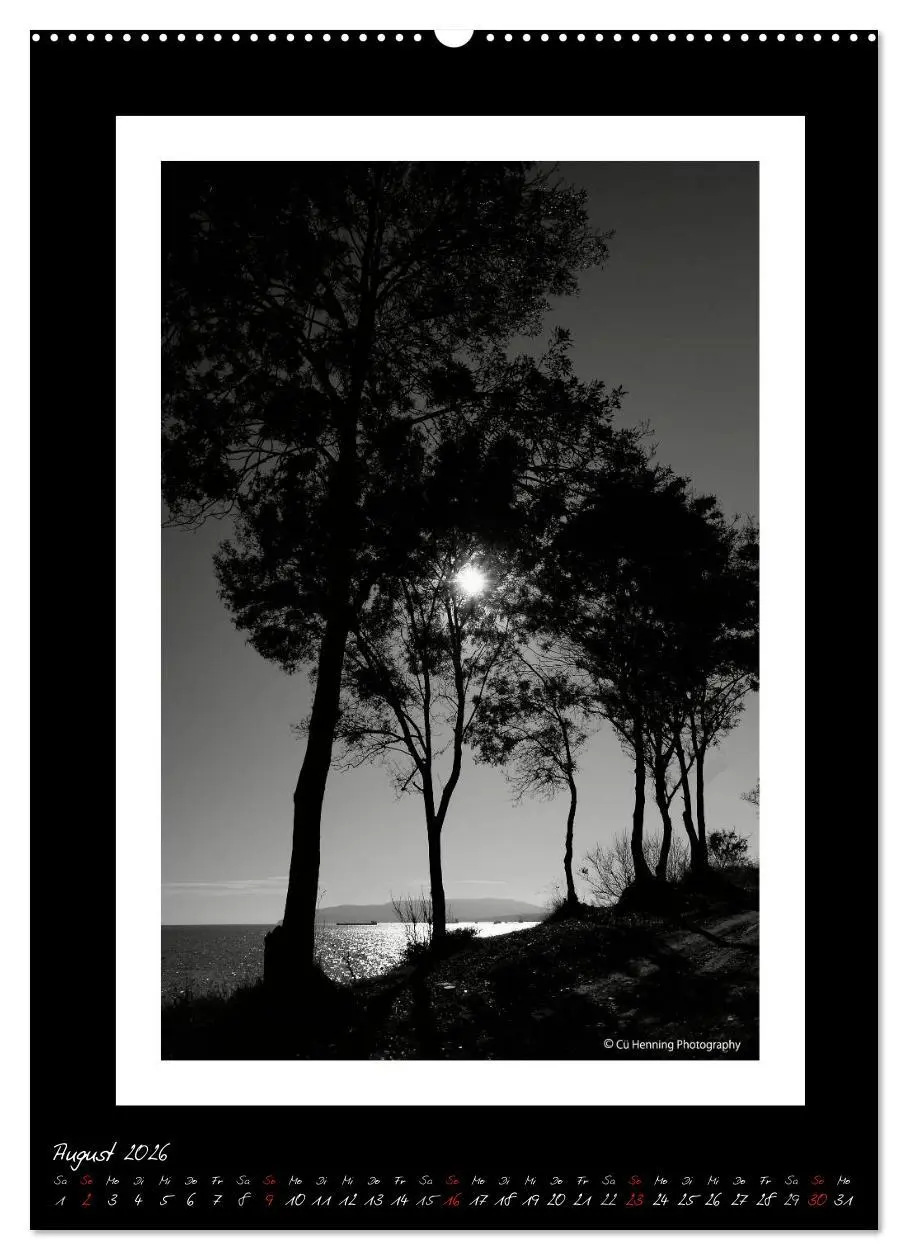 Bild: 9783516475104 | Lichtermeer (hochwertiger Premium Wandkalender 2026 DIN A2 hoch),...
