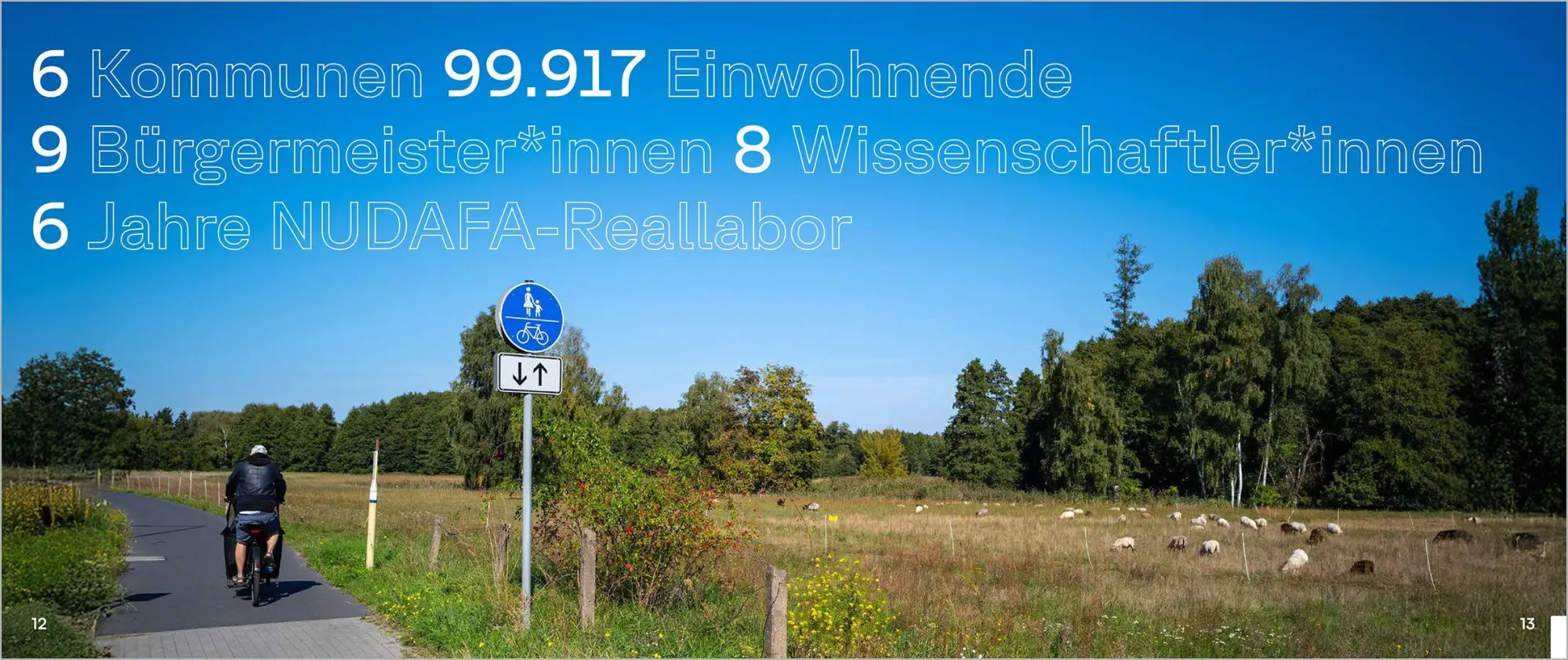 Bild: 9783987265204 | Gemeinsam Radverkehr fördern | Rezepte für die kommunale Verkehrswende