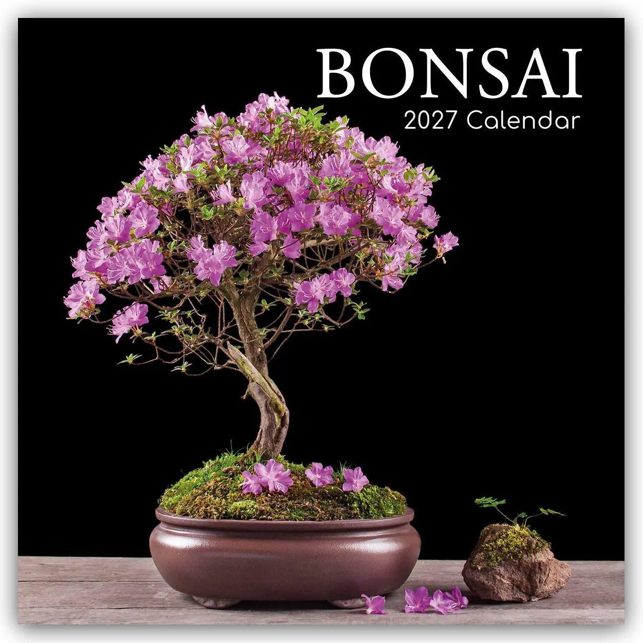 Cover: 9781805975304 | Bonsai - Bonsaibäume 2027 - 16-Monatskalender | Ltd | Kalender | 28 S.