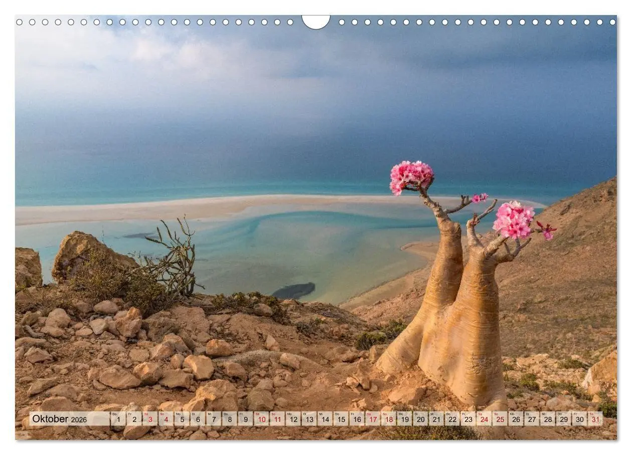 Bild: 9783516695304 | SOKOTRA - Magische Insel (Wandkalender 2026 DIN A3 quer), CALVENDO...