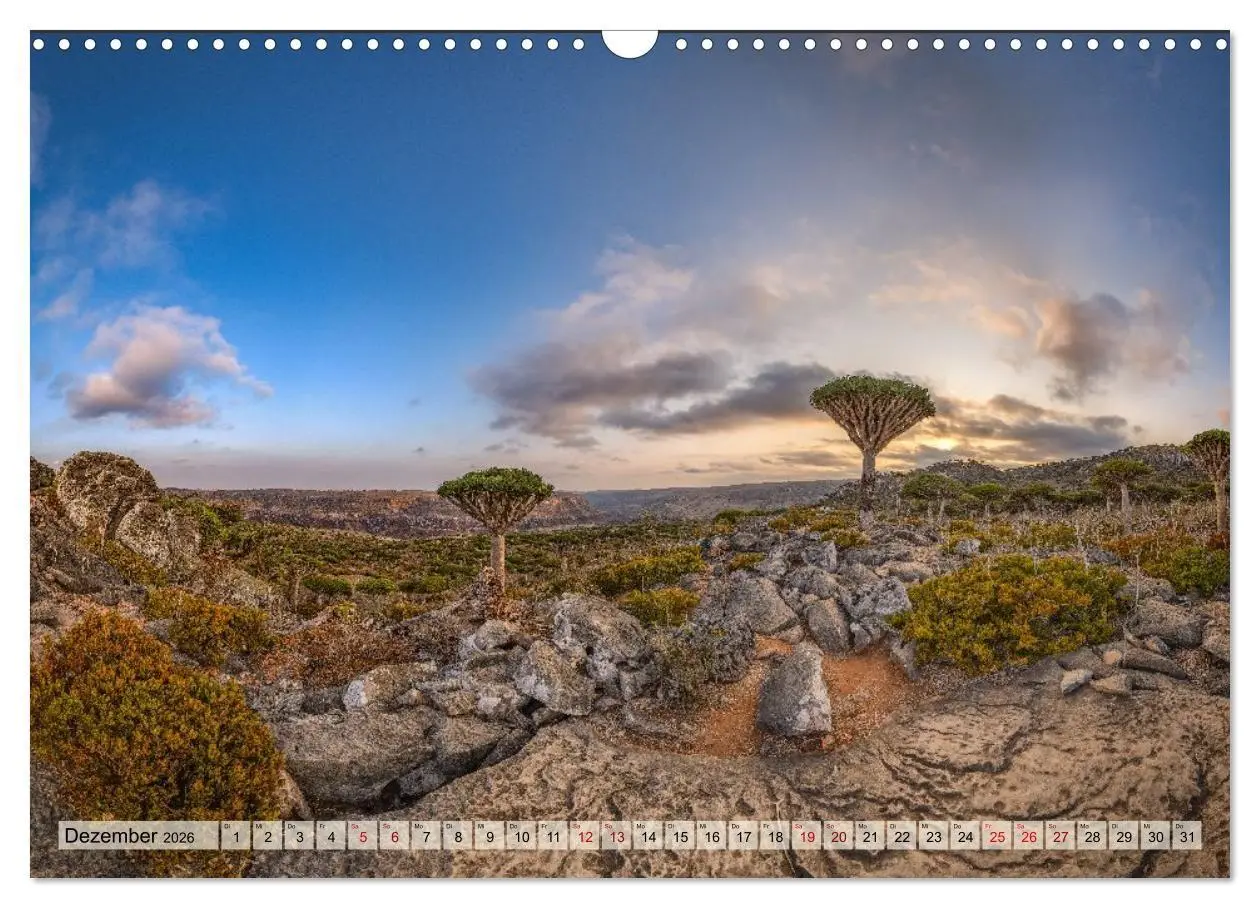 Bild: 9783516695304 | SOKOTRA - Magische Insel (Wandkalender 2026 DIN A3 quer), CALVENDO...