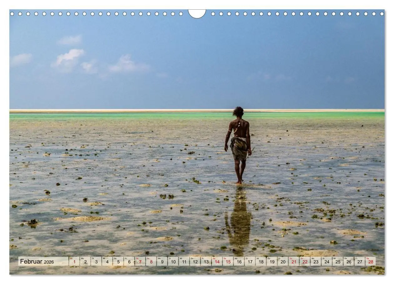 Bild: 9783516695304 | SOKOTRA - Magische Insel (Wandkalender 2026 DIN A3 quer), CALVENDO...