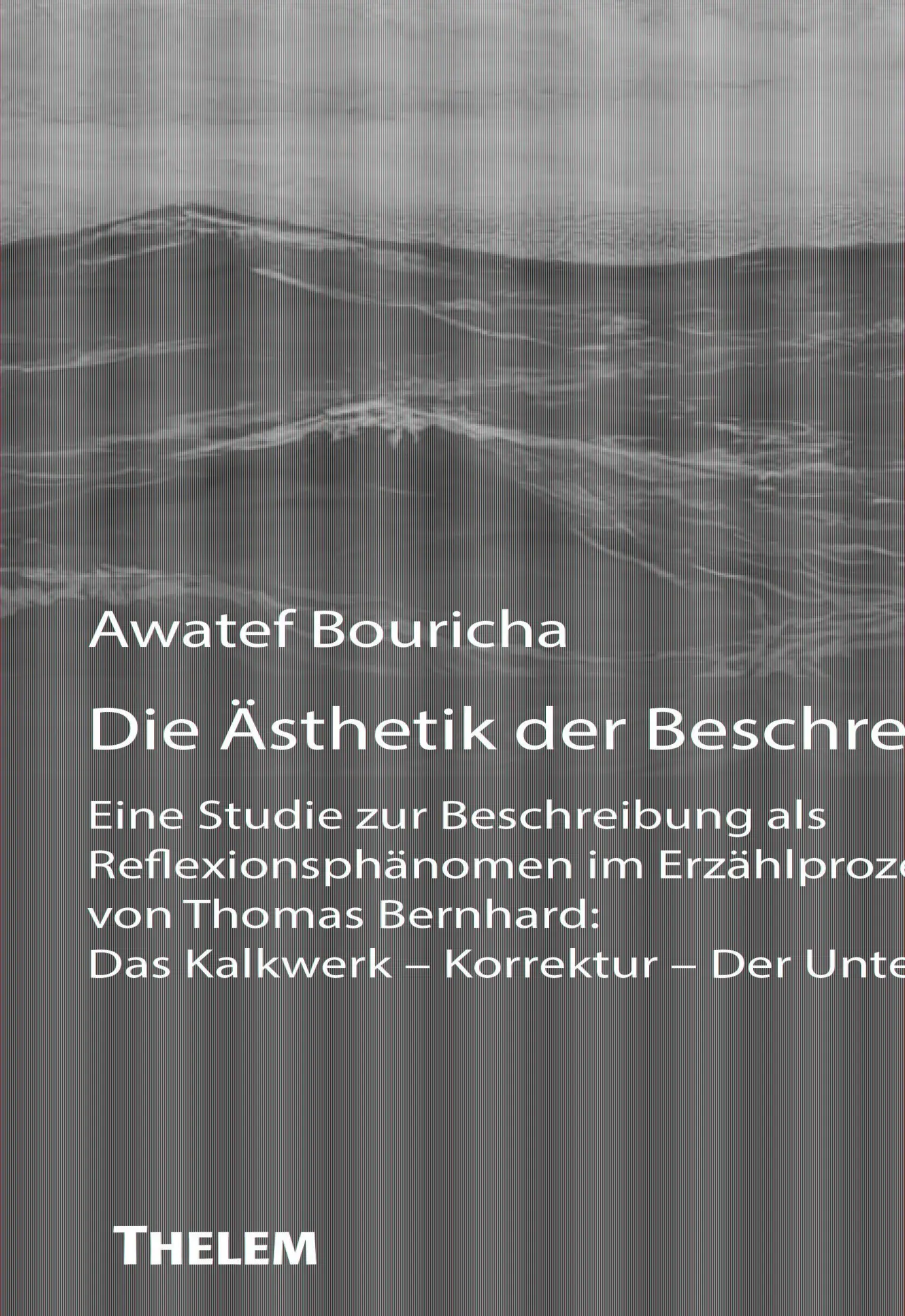 Die Ästhetik der Beschreibung