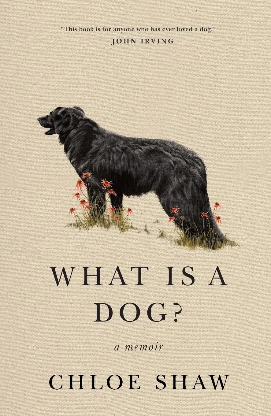 Cover: 9781250785404 | What Is a Dog? | Chloe Shaw | Taschenbuch | Kartoniert / Broschiert