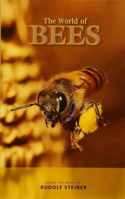 Cover: 9781855845404 | The World of Bees | From the Work of Rudolf Steiner | Rudolf Steiner