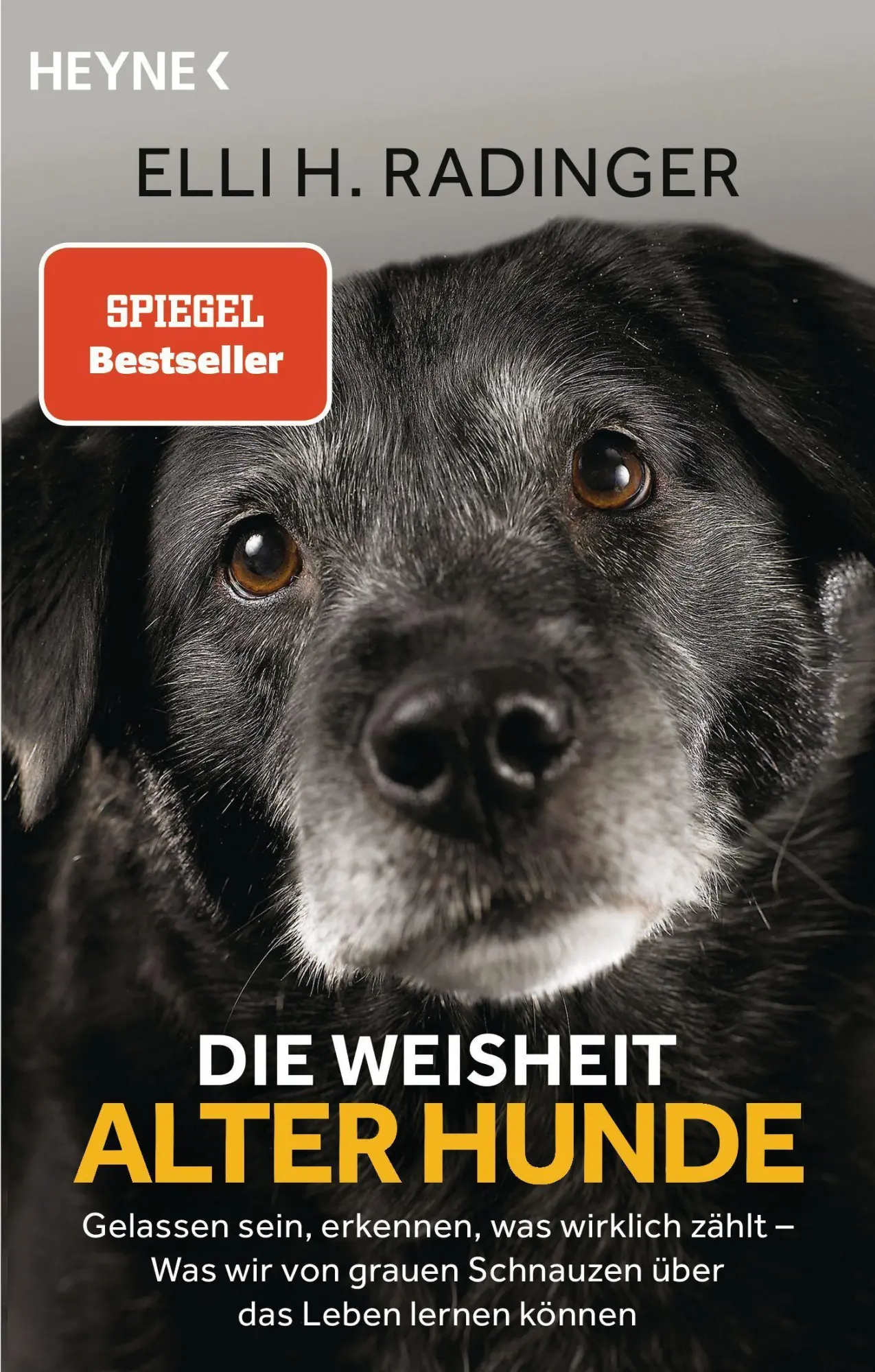 Cover: 9783453605404 | Die Weisheit alter Hunde | Elli H. Radinger | Taschenbuch | 320 S.