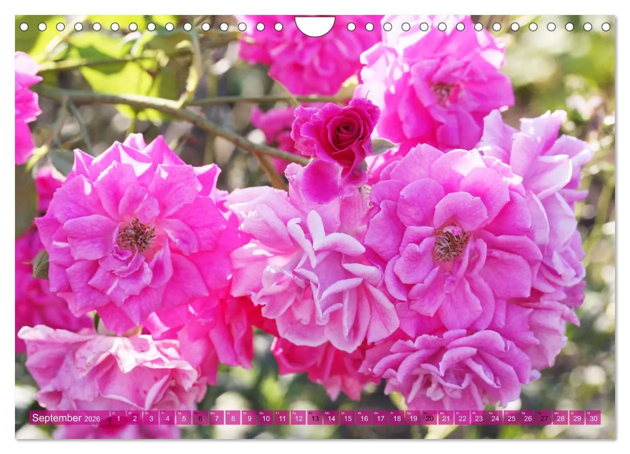 Bild: 9783457665404 | Bad Langensalza - Eine Perle Thüringens (Wandkalender 2026 DIN A4...