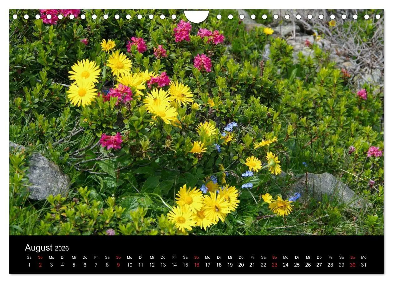 Bild: 9783516125504 | Im Tauferer Ahrntal in Südtirol (Wandkalender 2026 DIN A4 quer),...