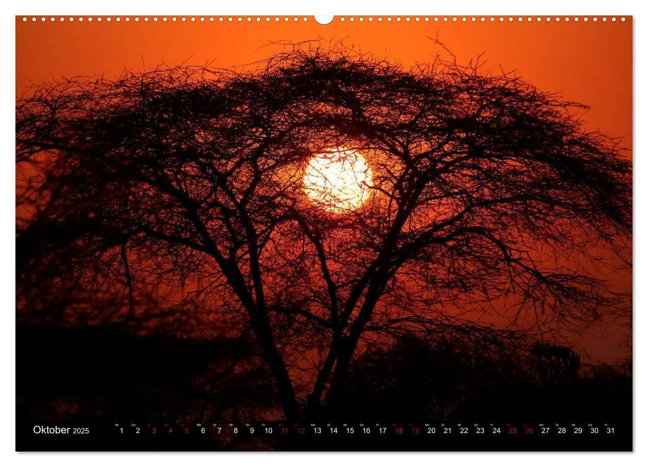 Bild: 9783435245604 | Afrika - Zauber der Wildnis (hochwertiger Premium Wandkalender 2025...