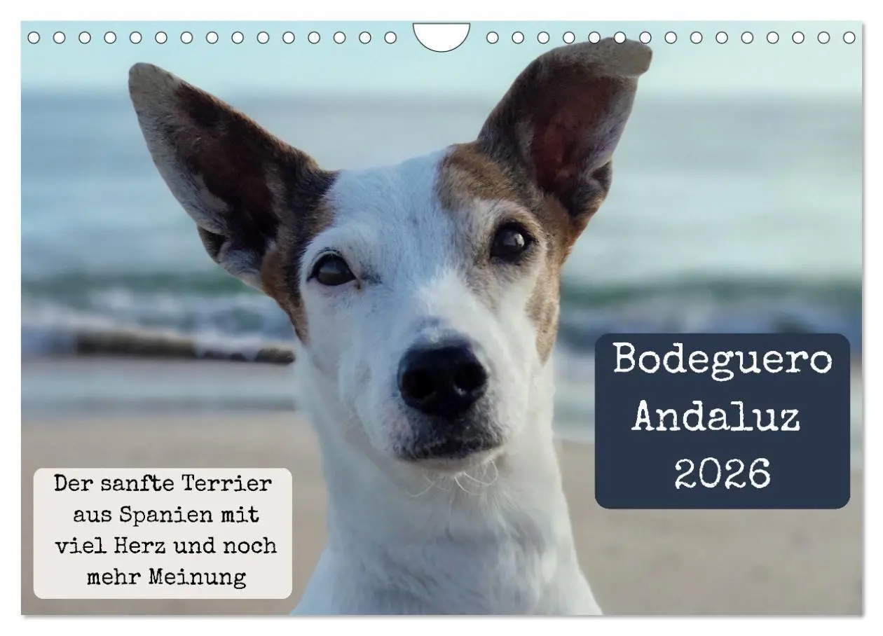 Cover: 9783516665604 | Ratonero Bodeguero Andaluz (Wandkalender 2026 DIN A4 quer),...