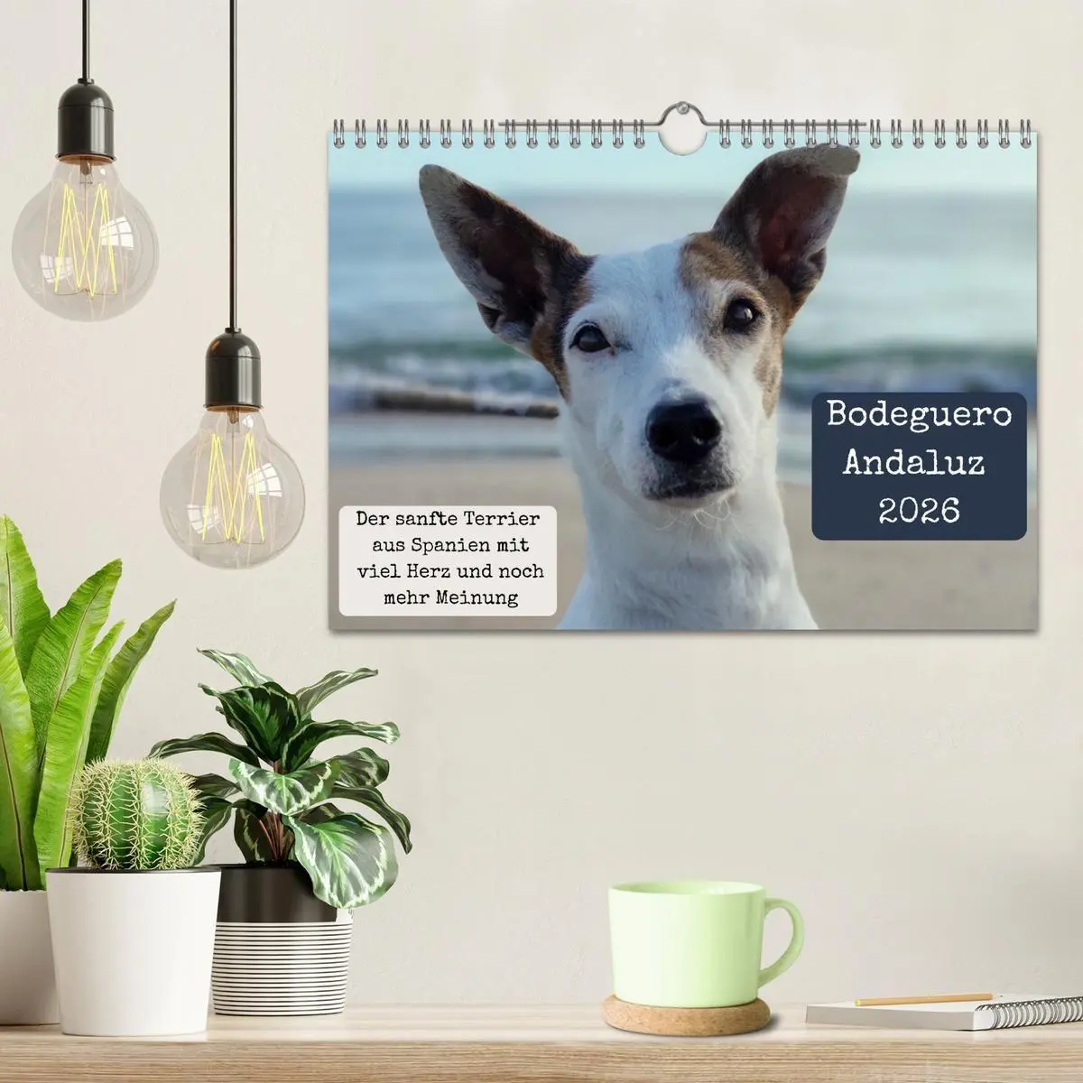 Bild: 9783516665604 | Ratonero Bodeguero Andaluz (Wandkalender 2026 DIN A4 quer),...