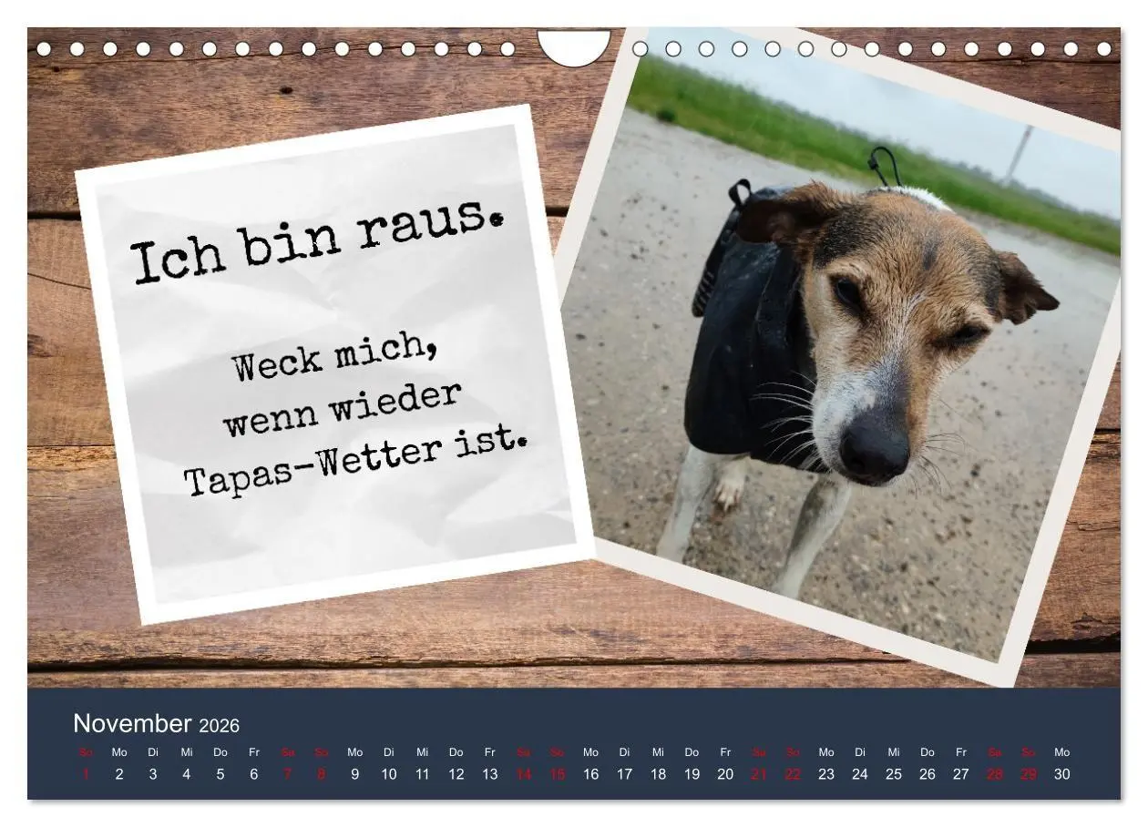 Bild: 9783516665604 | Ratonero Bodeguero Andaluz (Wandkalender 2026 DIN A4 quer),...