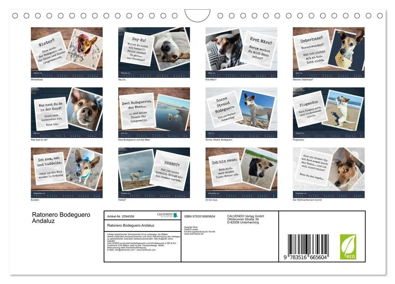 Bild: 9783516665604 | Ratonero Bodeguero Andaluz (Wandkalender 2026 DIN A4 quer),...