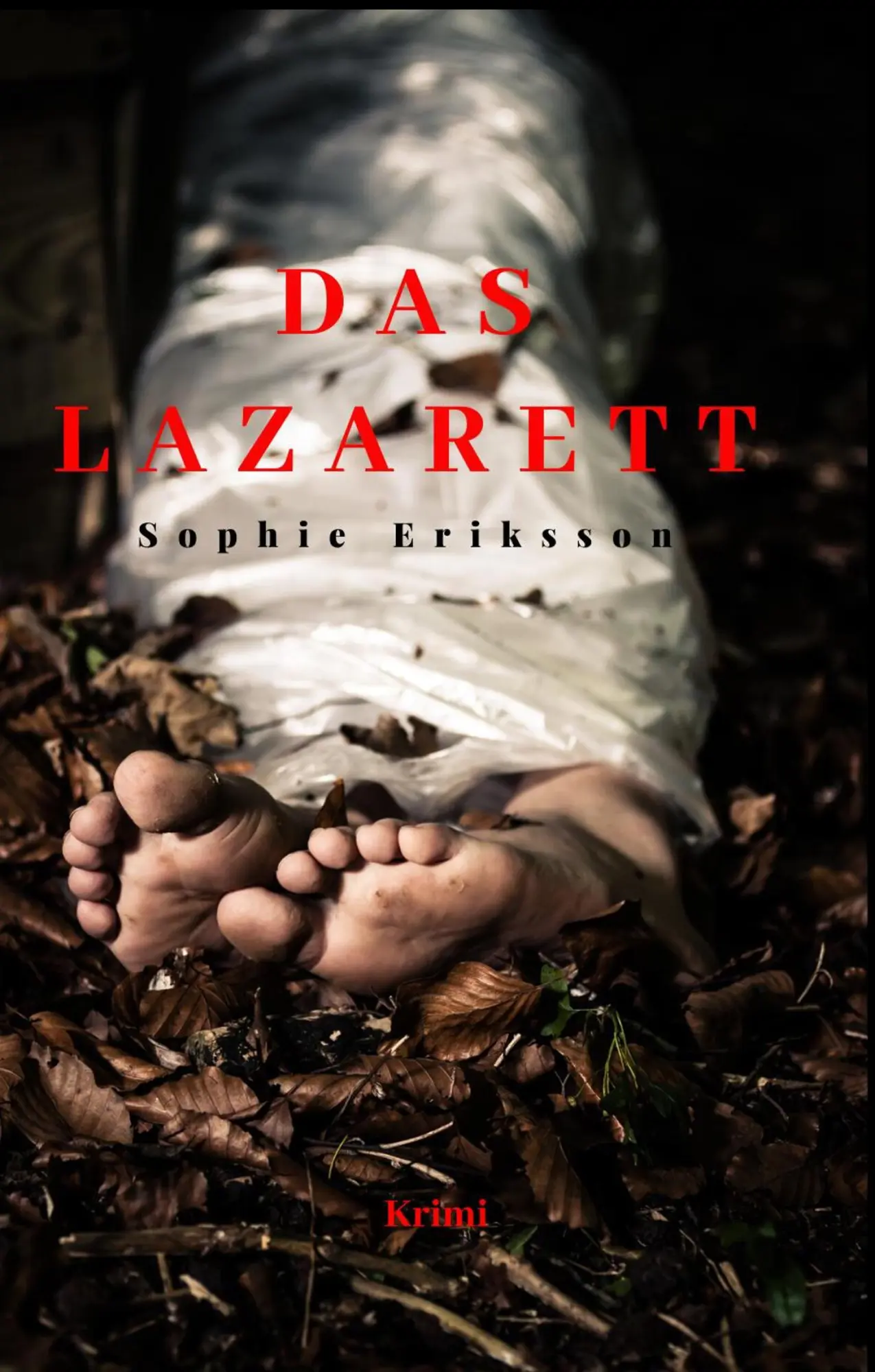 Cover: 9783750435704 | Das Lazarett | Steinmeier und Carlson | Sophie Eriksson | Buch | 2020