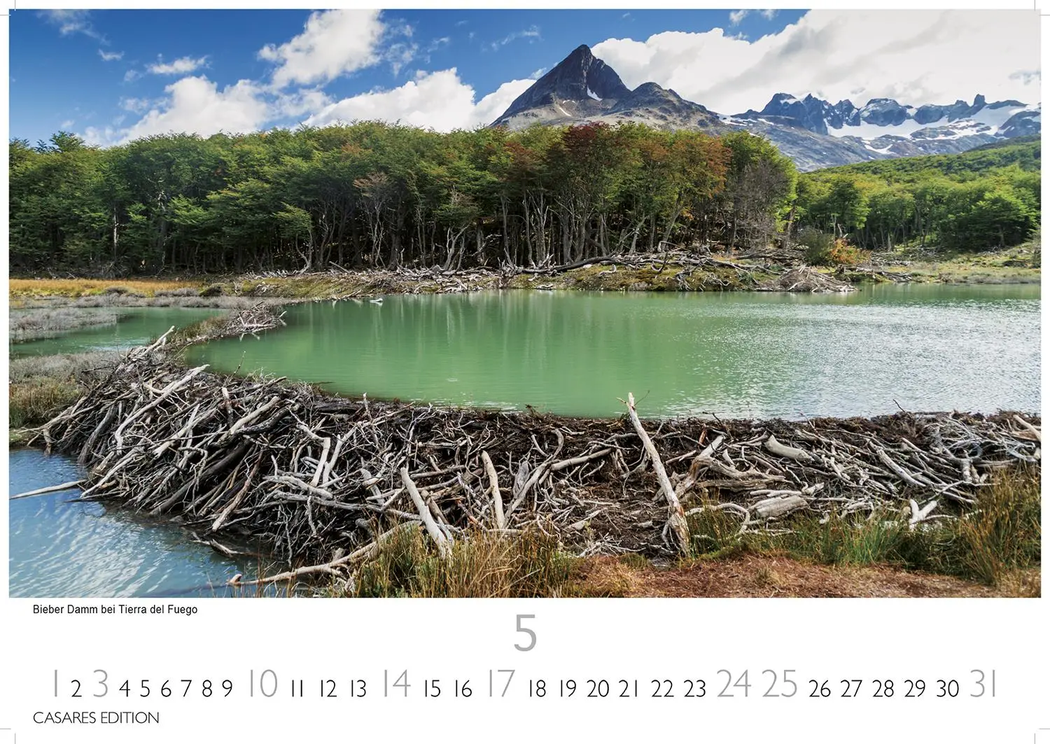 Bild: 9781835245804 | Kalender Patagonien 2026 35x50cm - Majestätische Landschaften...