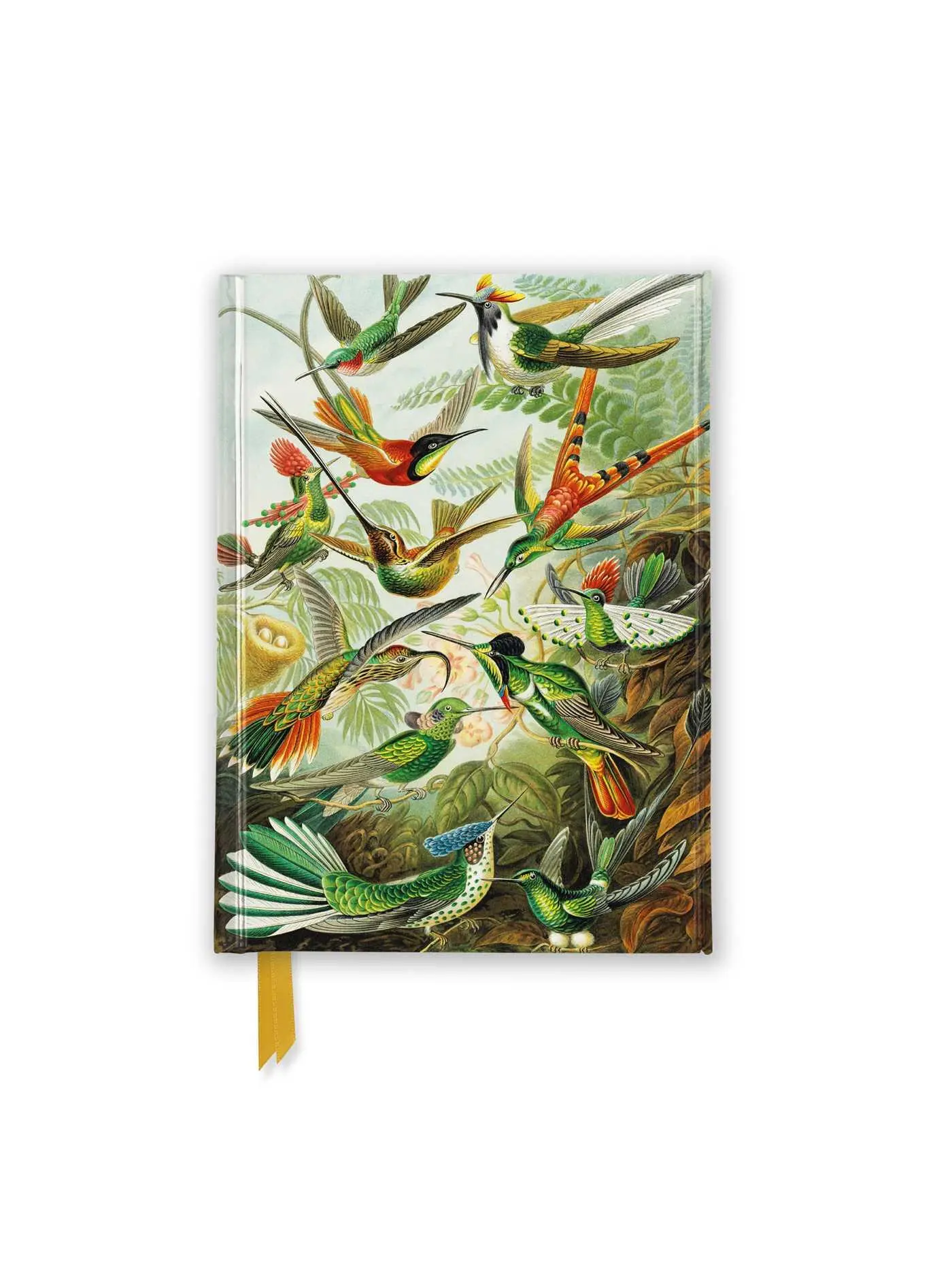 Cover: 9781835625804 | Ernst Haeckel: Hummingbirds (Foiled Pocket Journal) | Publishing