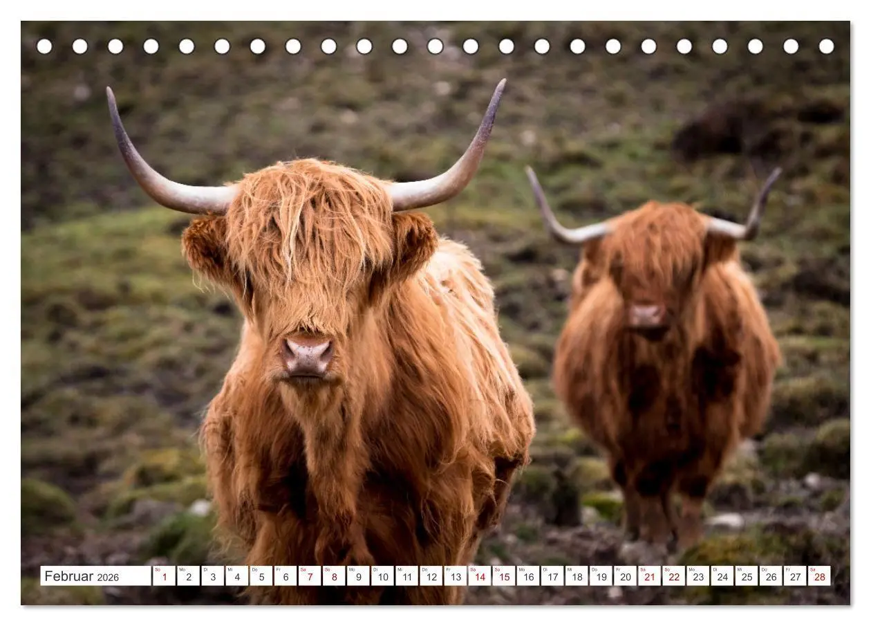 Bild: 9783457625804 | Isle of Skye - Eine Reise durch den Nordwesten Schottlands...