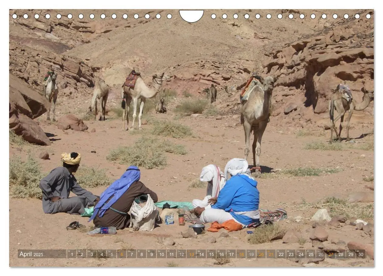 Bild: 9783435525904 | Impressionen Kameltrekking Sinai 2025 (Wandkalender 2025 DIN A4...