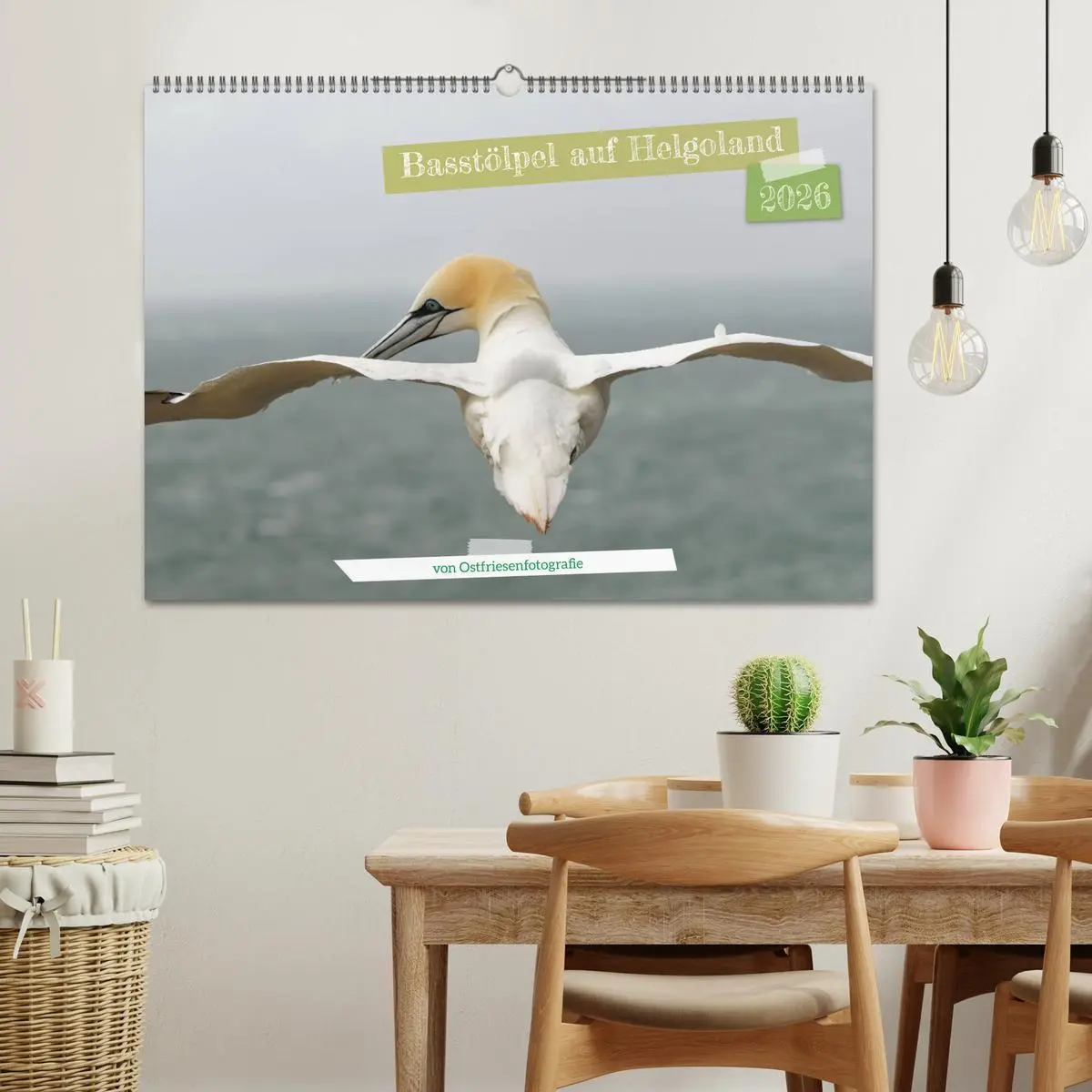 Bild: 9783457545904 | Basstölpel auf Helgoland - von Ostfriesenfotografie (Wandkalender...