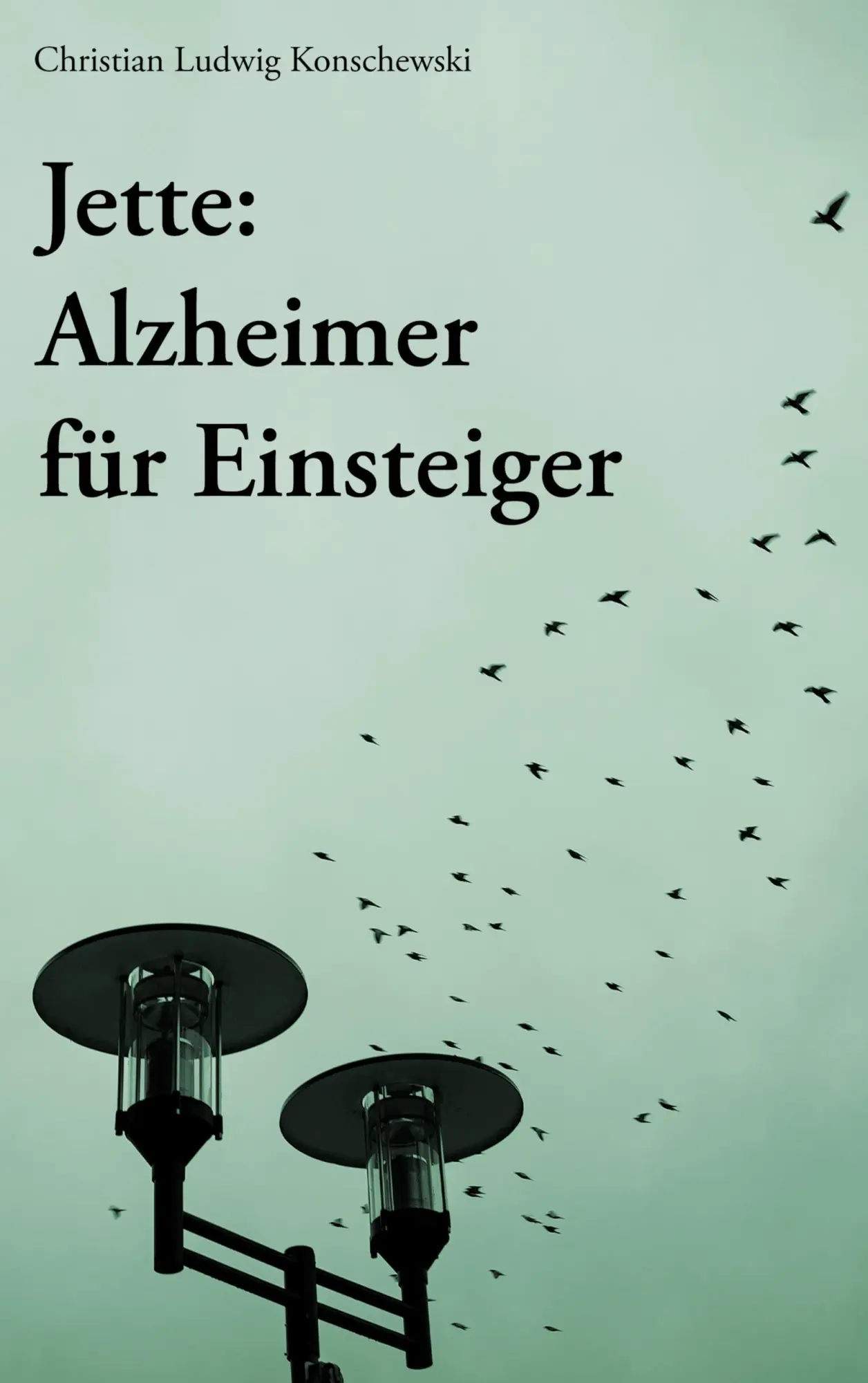 Cover: 9783819295904 | Jette: Alzheimer für Einsteiger | Christian Ludwig Konschewski | Buch