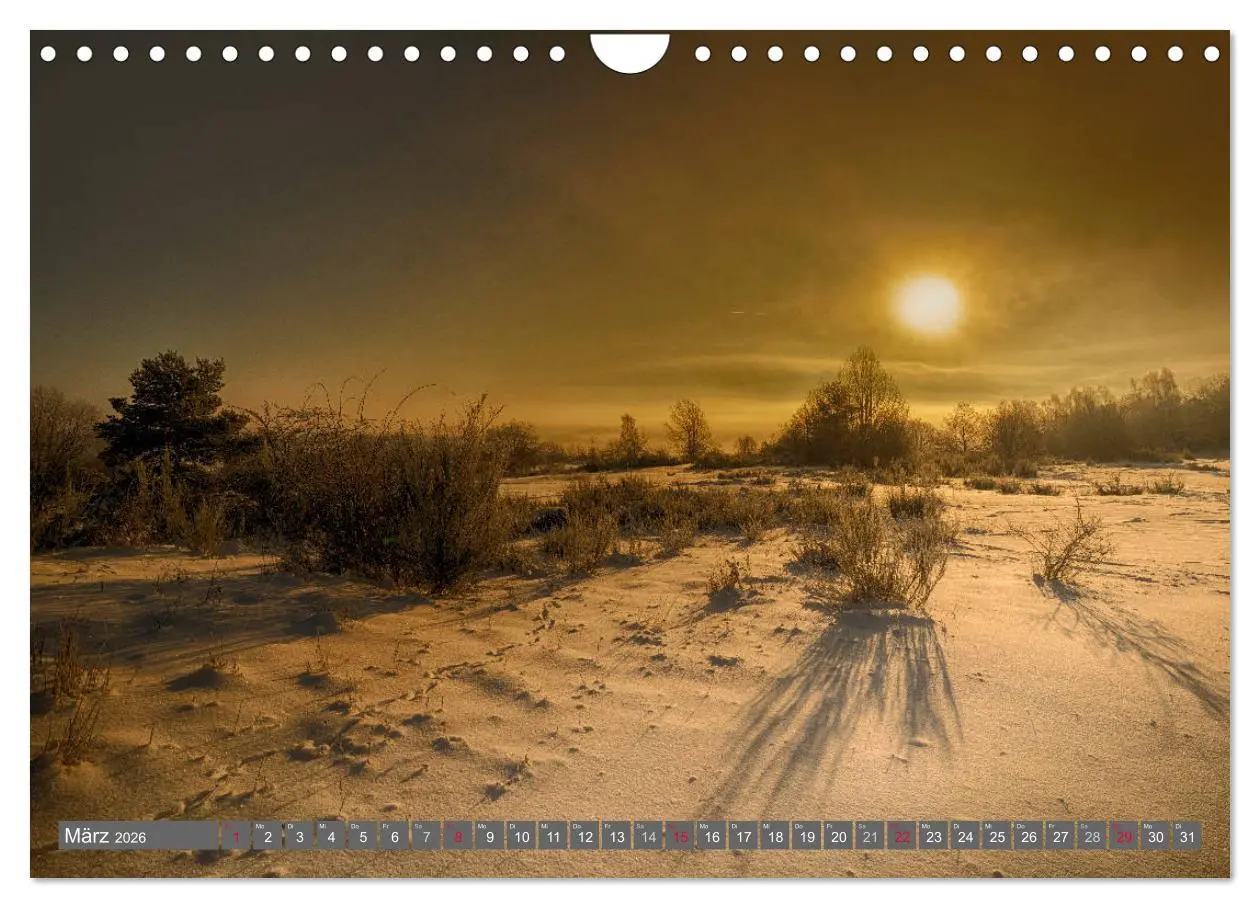 Bild: 9783516076004 | Vogtland - Impressionen (Wandkalender 2026 DIN A4 quer), CALVENDO...