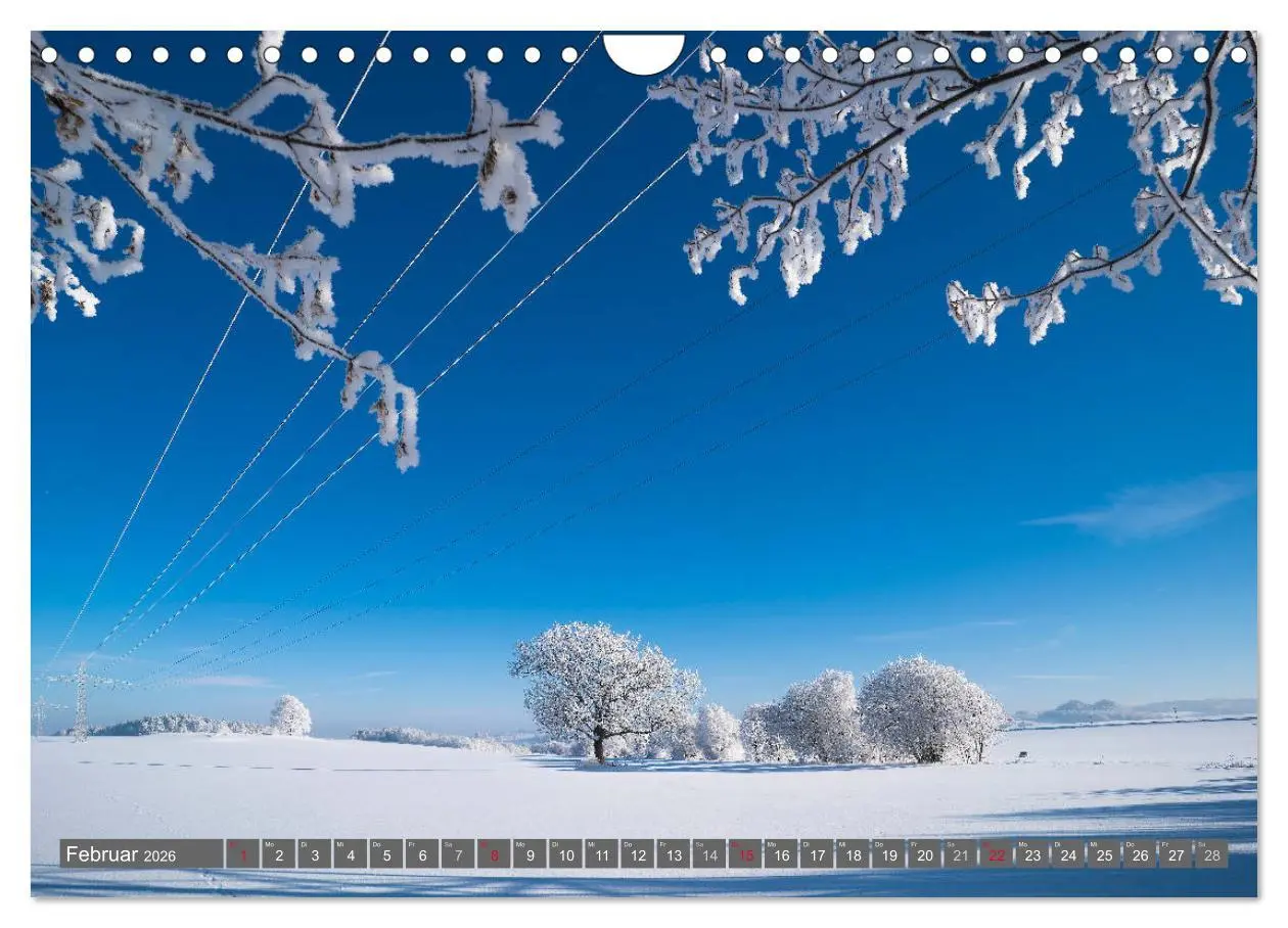 Bild: 9783516076004 | Vogtland - Impressionen (Wandkalender 2026 DIN A4 quer), CALVENDO...