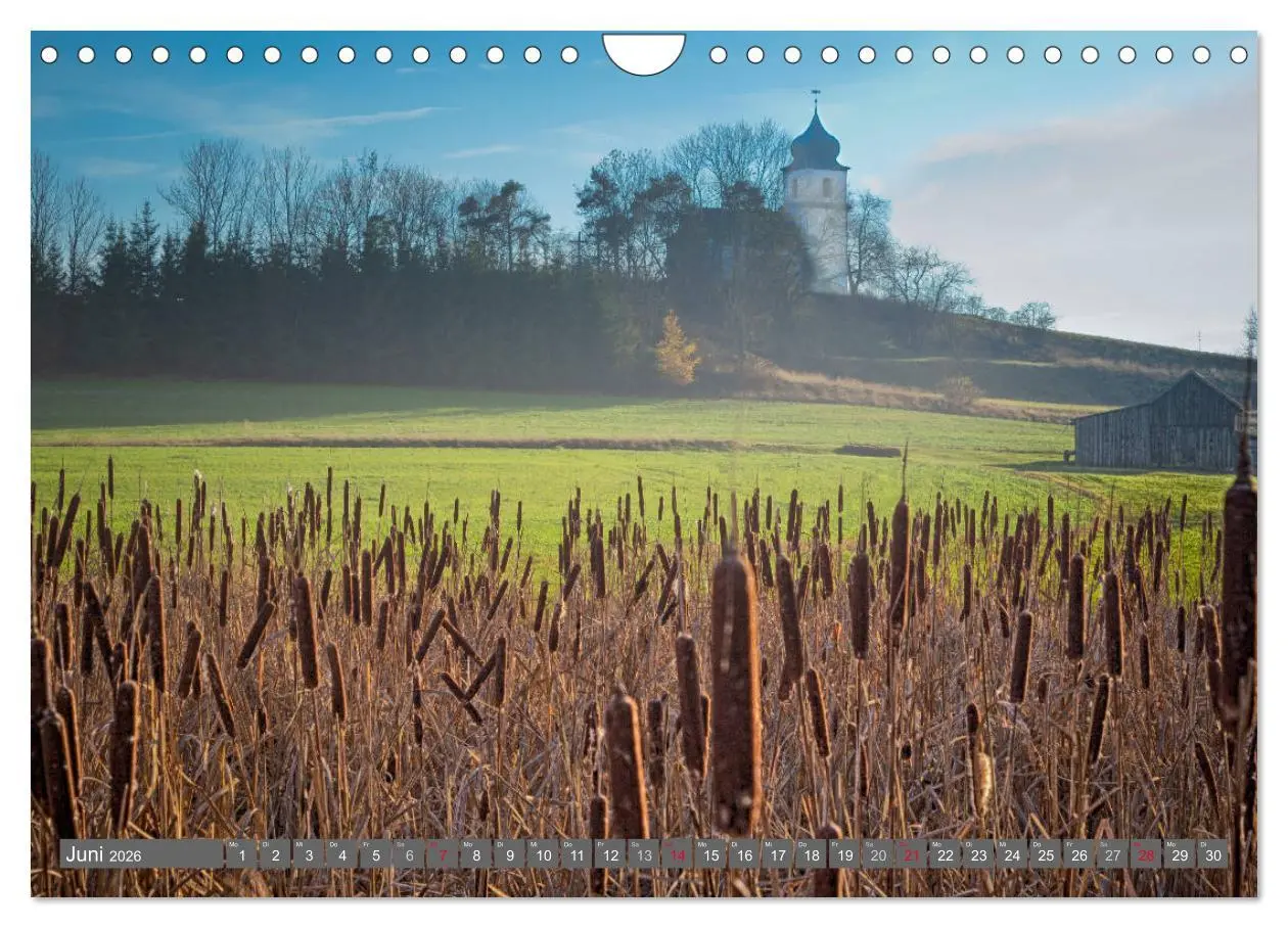 Bild: 9783516076004 | Vogtland - Impressionen (Wandkalender 2026 DIN A4 quer), CALVENDO...