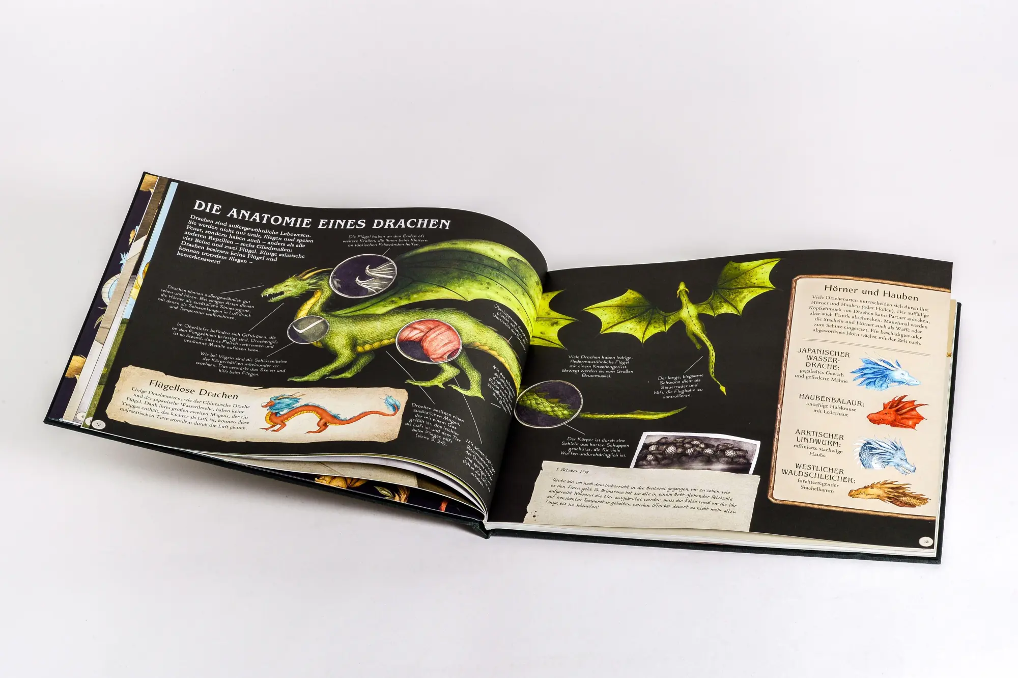 Bild: 9783791376004 | Das große Handbuch der Drachen | Emily Hawkins (u. a.) | Buch | 64 S.