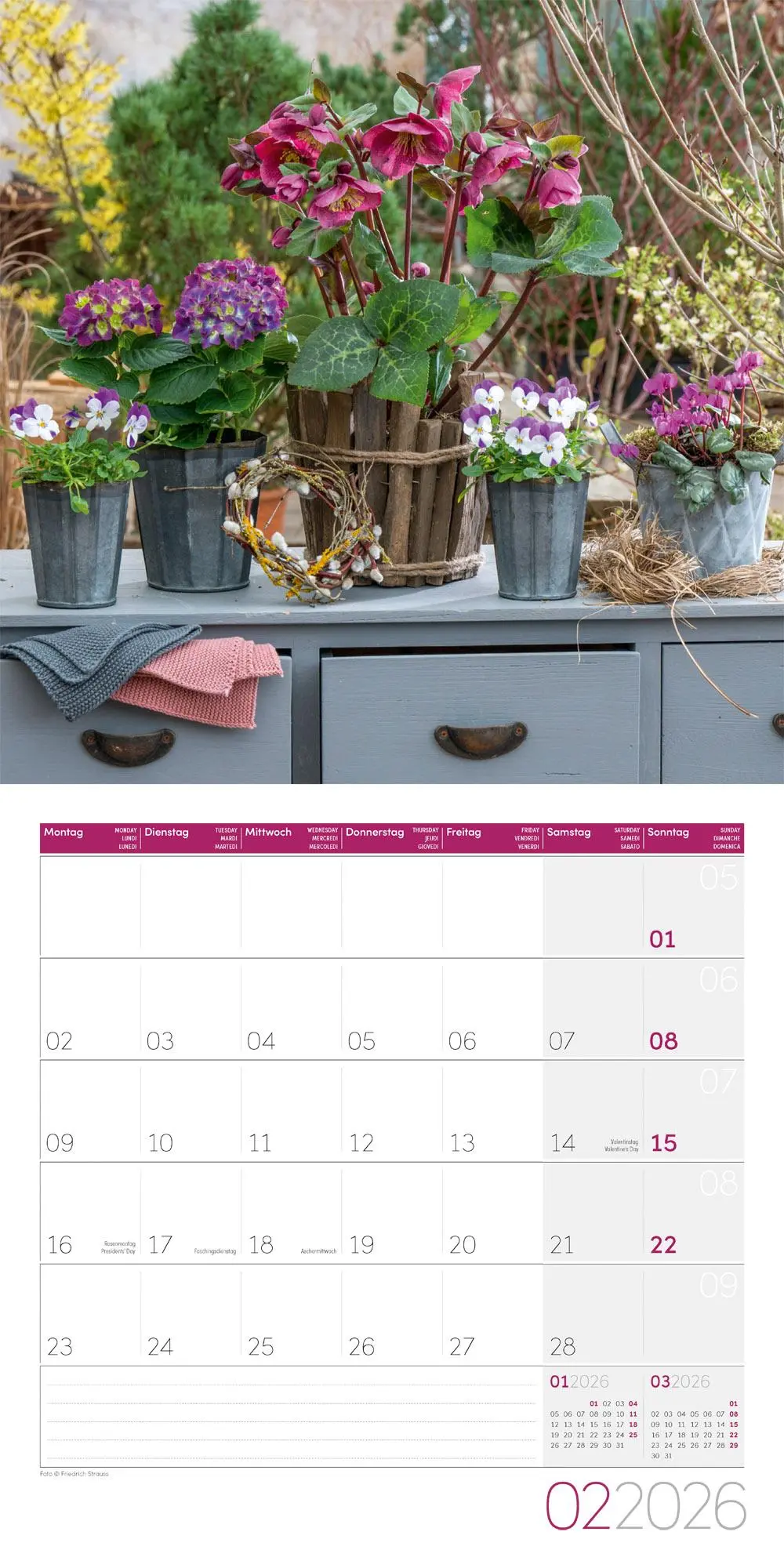 Bild: 9783838446004 | Blumenzauber Broschürenkalender 2026 - 30x30 - Art12 | GmbH | Kalender