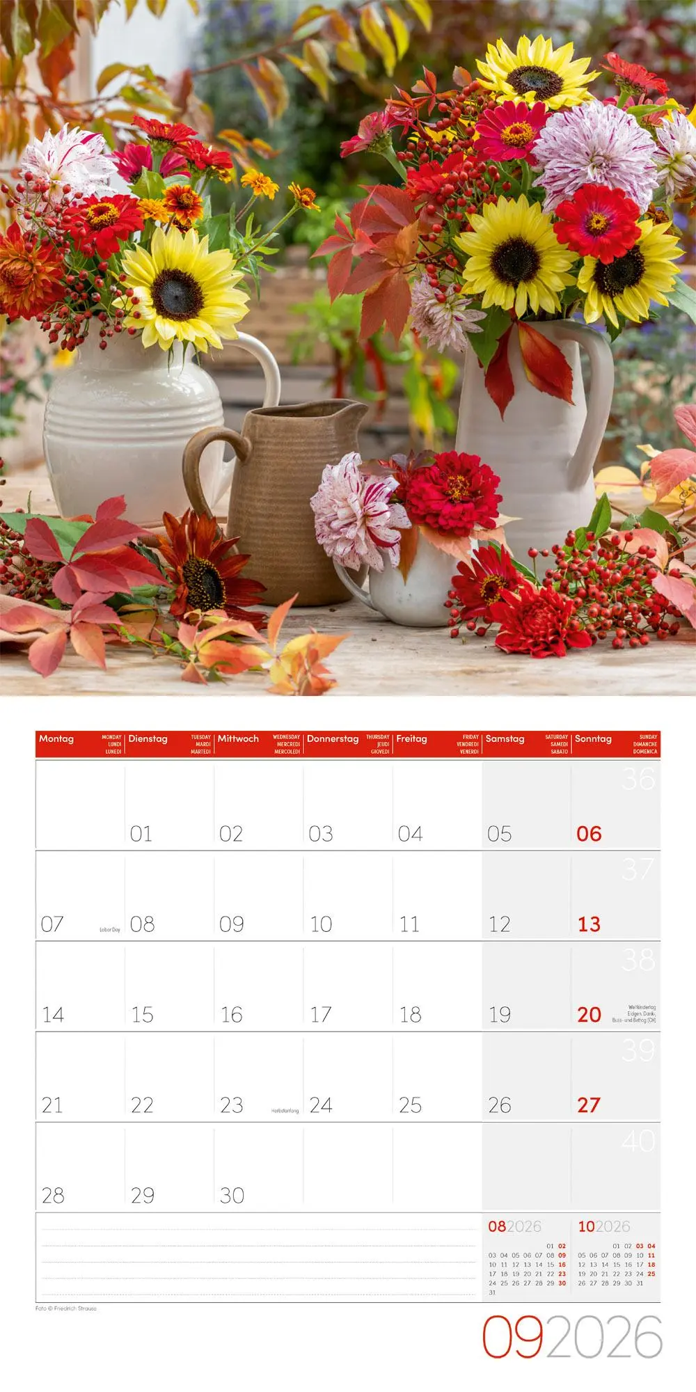 Bild: 9783838446004 | Blumenzauber Broschürenkalender 2026 - 30x30 - Art12 | GmbH | Kalender