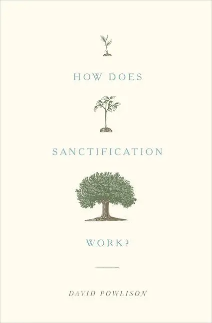 Cover: 9781433556104 | How Does Sanctification Work? | David Powlison | Taschenbuch | 2017