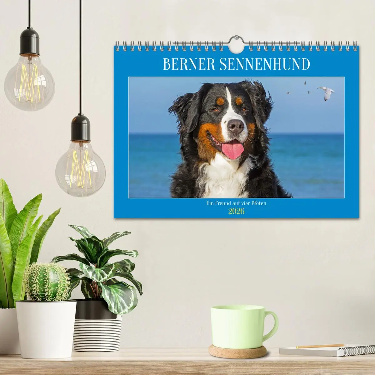 Bild: 9783457356104 | Berner Sennenhund - Ein Freund auf vier Pfoten (Wandkalender 2026...