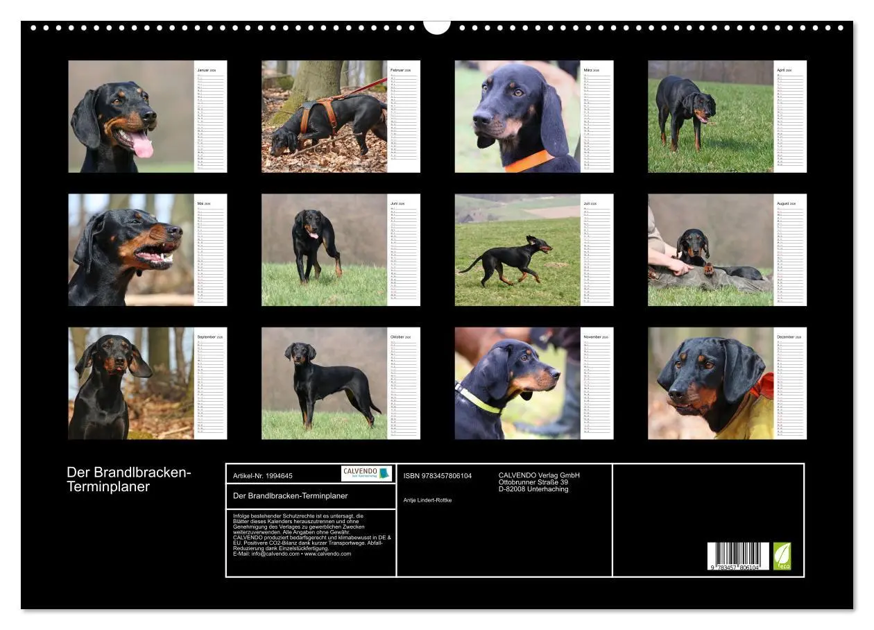 Bild: 9783457806104 | Der Brandlbracken-Terminplaner (Wandkalender 2026 DIN A2 quer),...