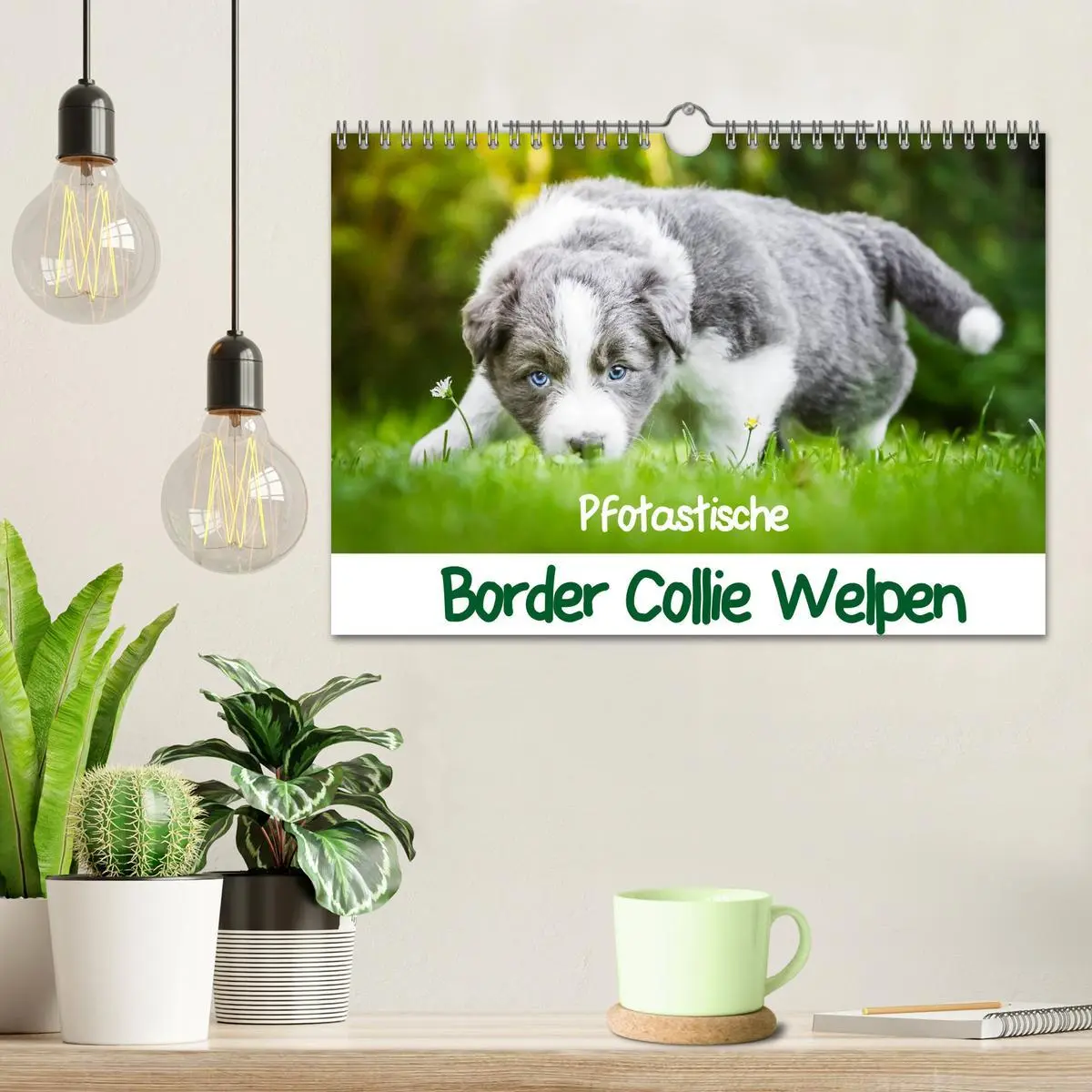 Bild: 9783516066104 | Pfotastische Border Collie Welpen (Wandkalender 2026 DIN A4 quer),...