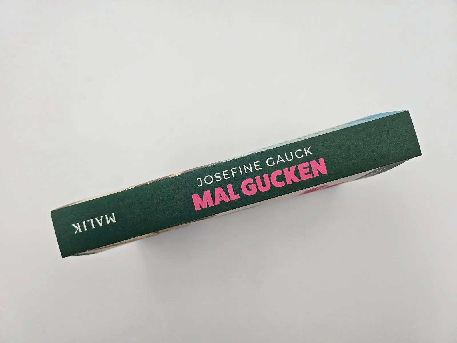 Bild: 9783890296104 | Mal gucken | Josefine Gauck | Taschenbuch | 304 S. | Deutsch | 2025