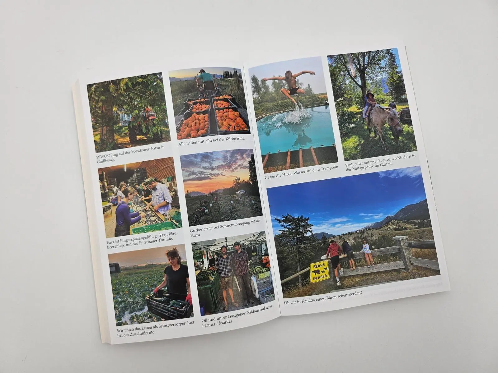 Bild: 9783890296104 | Mal gucken | Josefine Gauck | Taschenbuch | 304 S. | Deutsch | 2025
