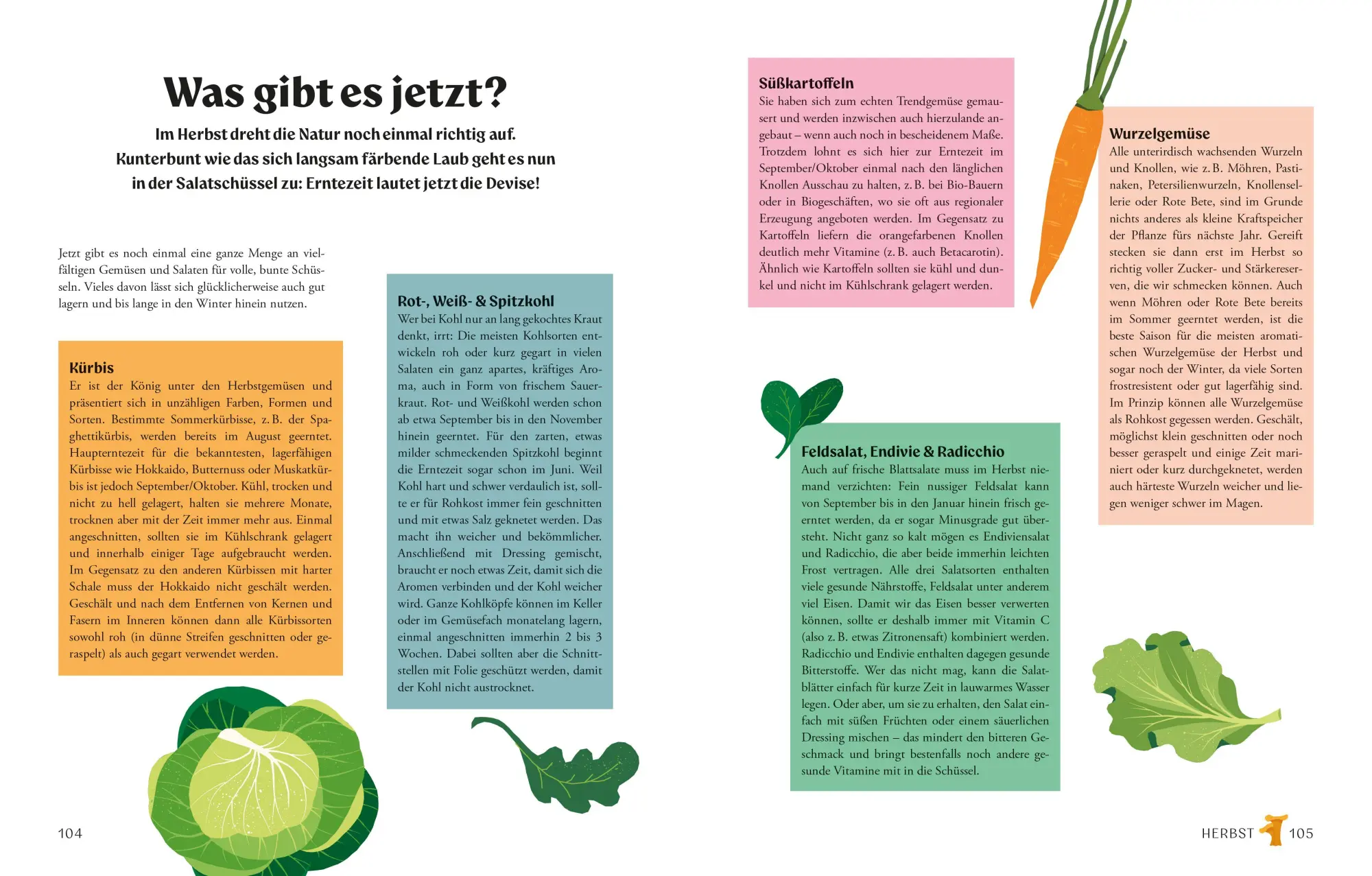 Bild: 9783965846104 | Salate | Tanja Dusy | Buch | 192 S. | Deutsch | 2026 | ZS