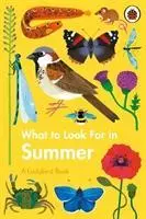 Cover: 9780241416204 | What to Look For in Summer | A Ladybird Book | Elizabeth Jenner | Buch