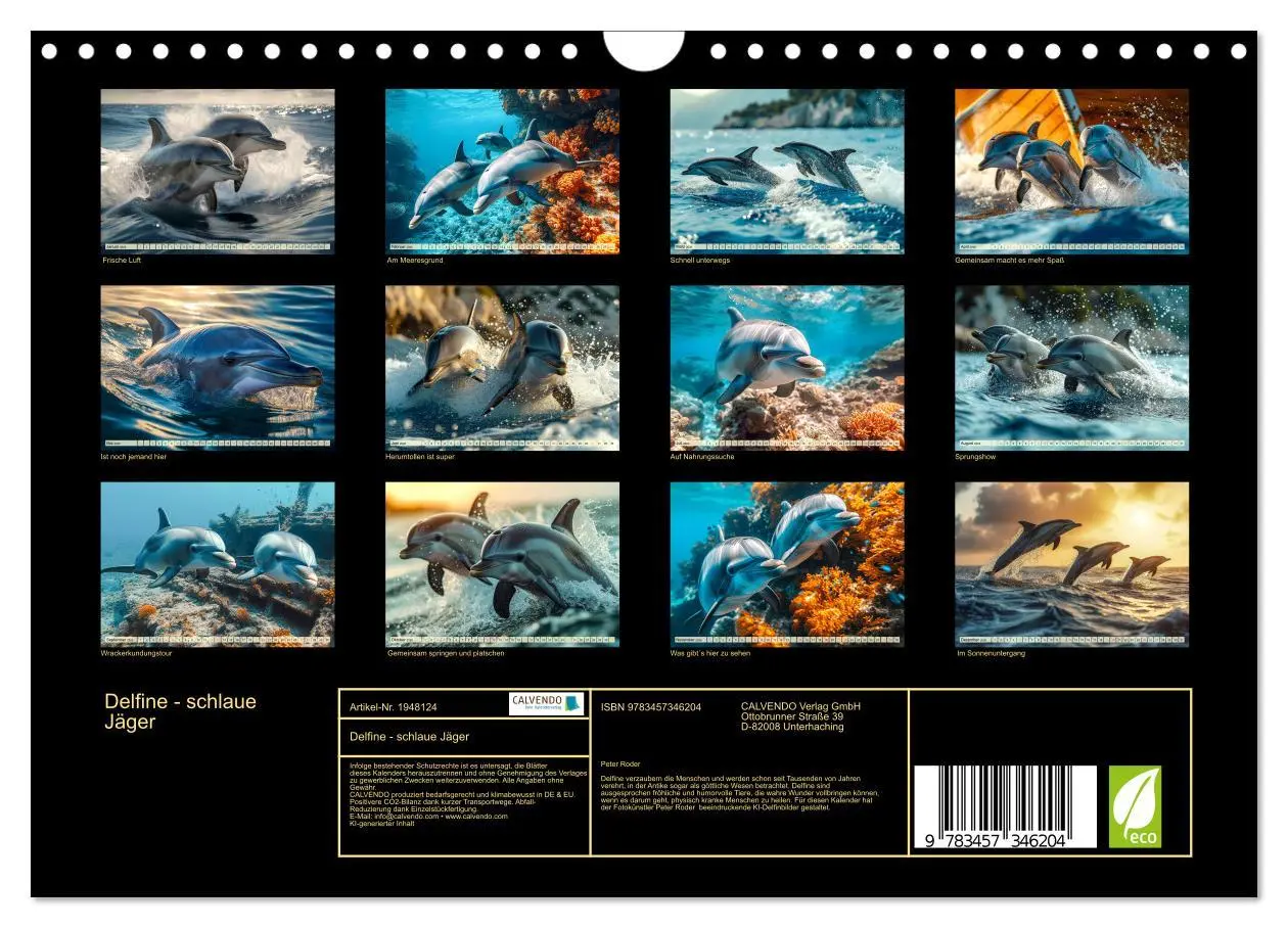 Bild: 9783457346204 | Delfine - schlaue Jäger (Wandkalender 2026 DIN A4 quer), CALVENDO...
